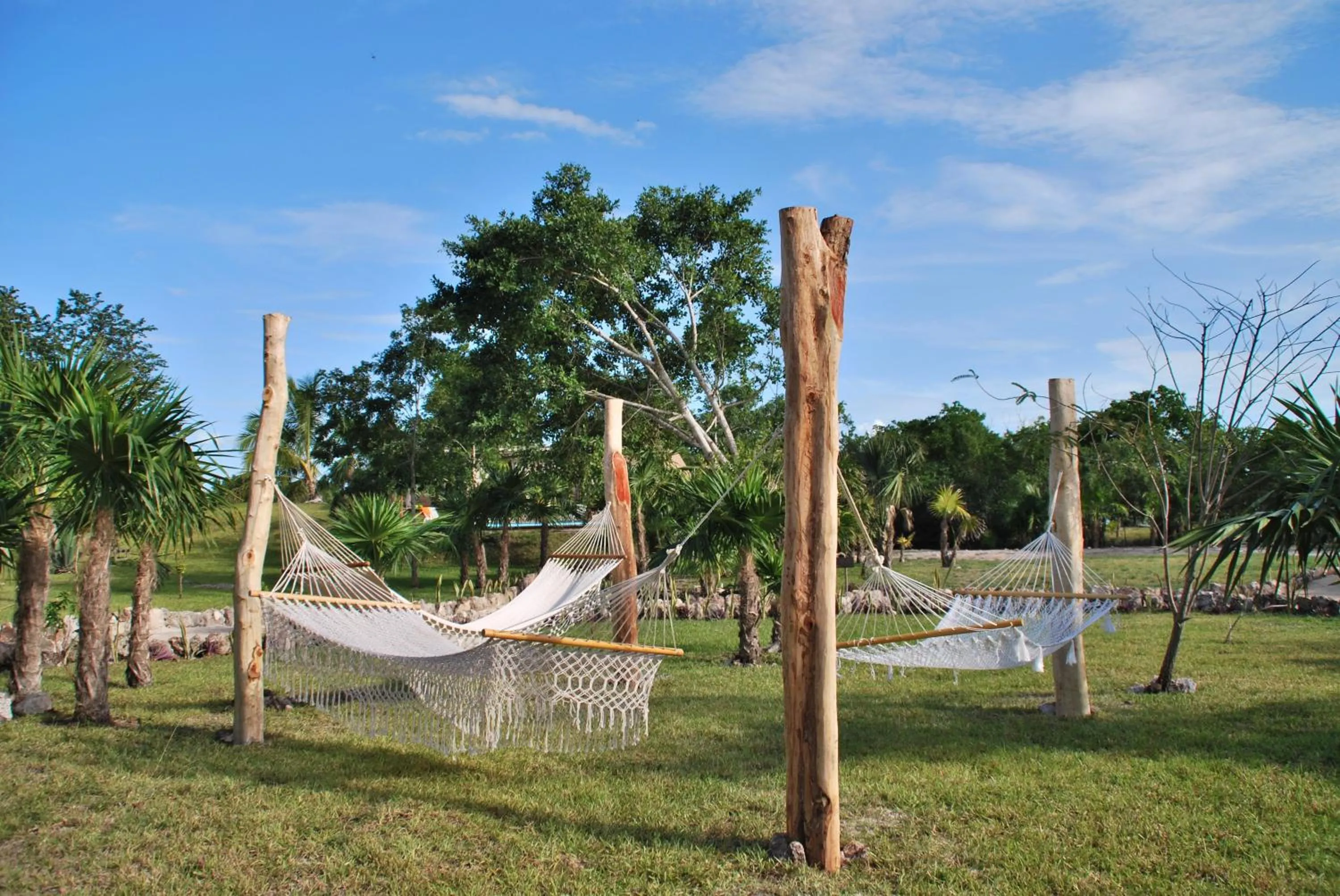 Garden in Hotel El Chital