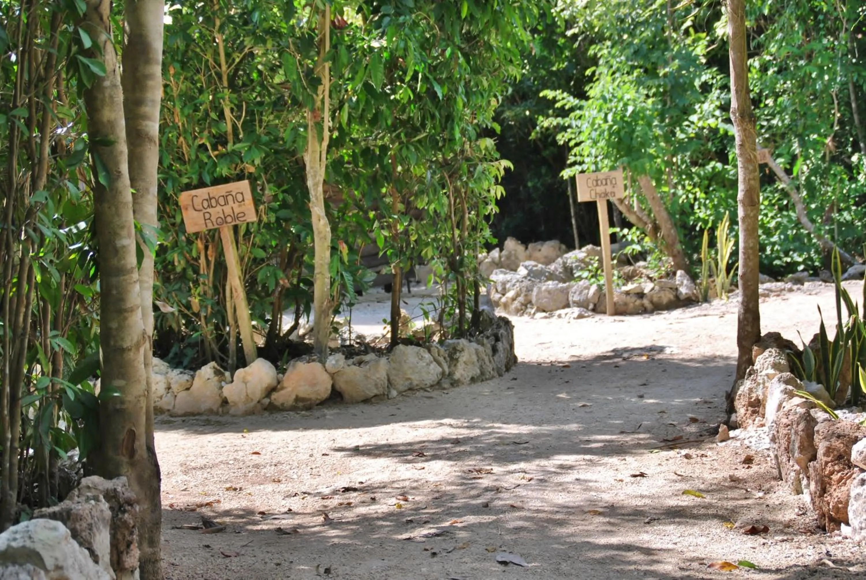 Garden in Hotel El Chital