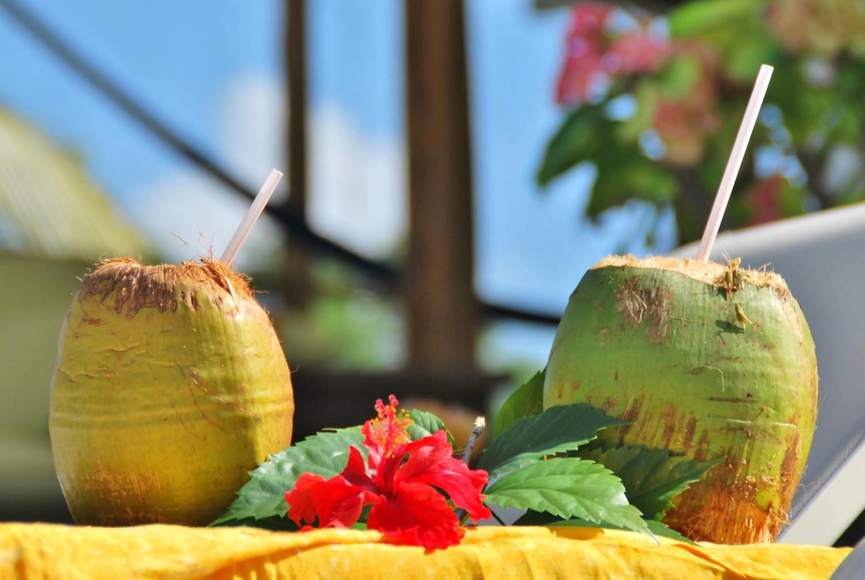 Food and drinks in Hotel El Chital