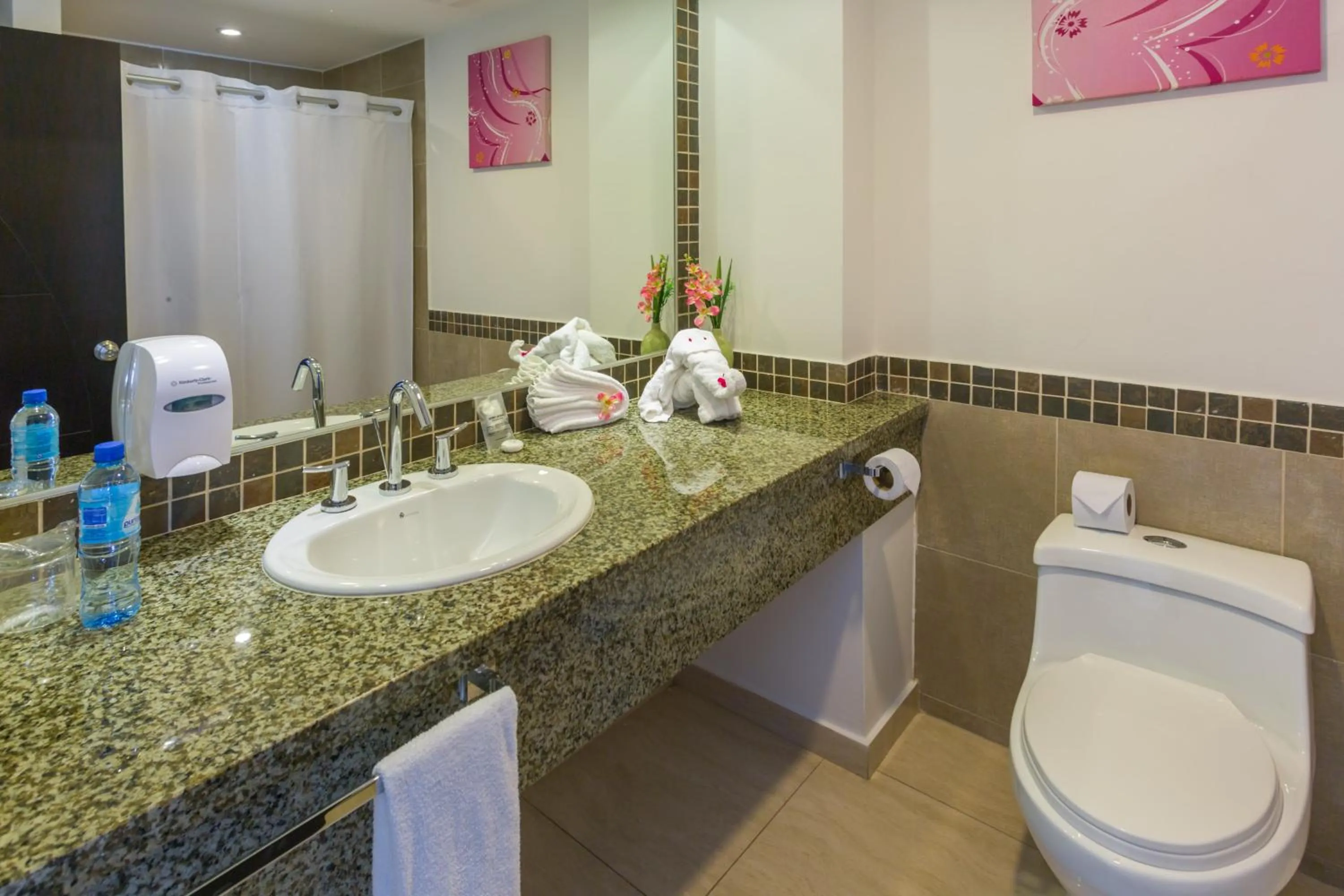 Toilet in Hotel Balandra