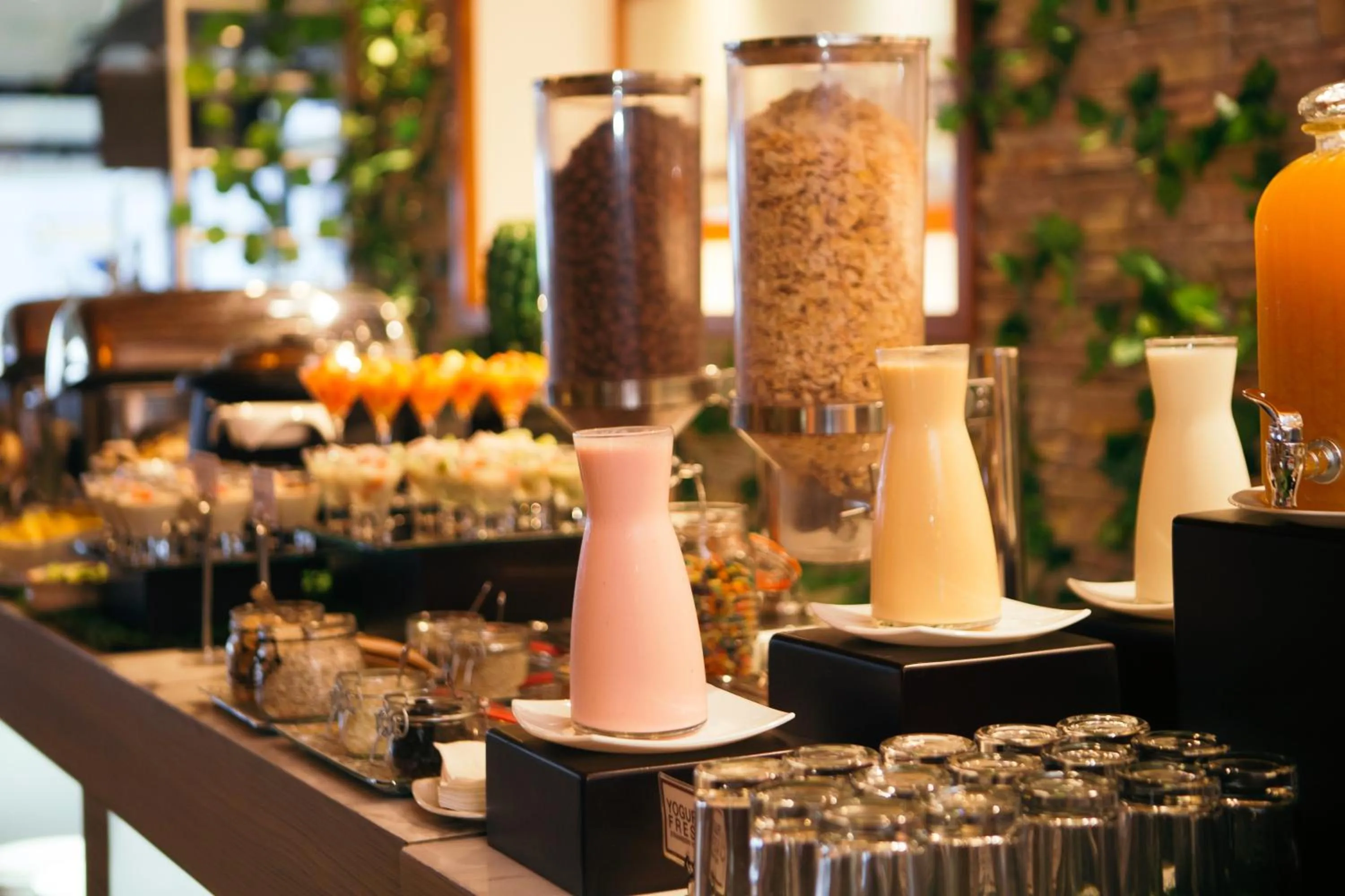 Restaurant/places to eat in Hotel Balandra