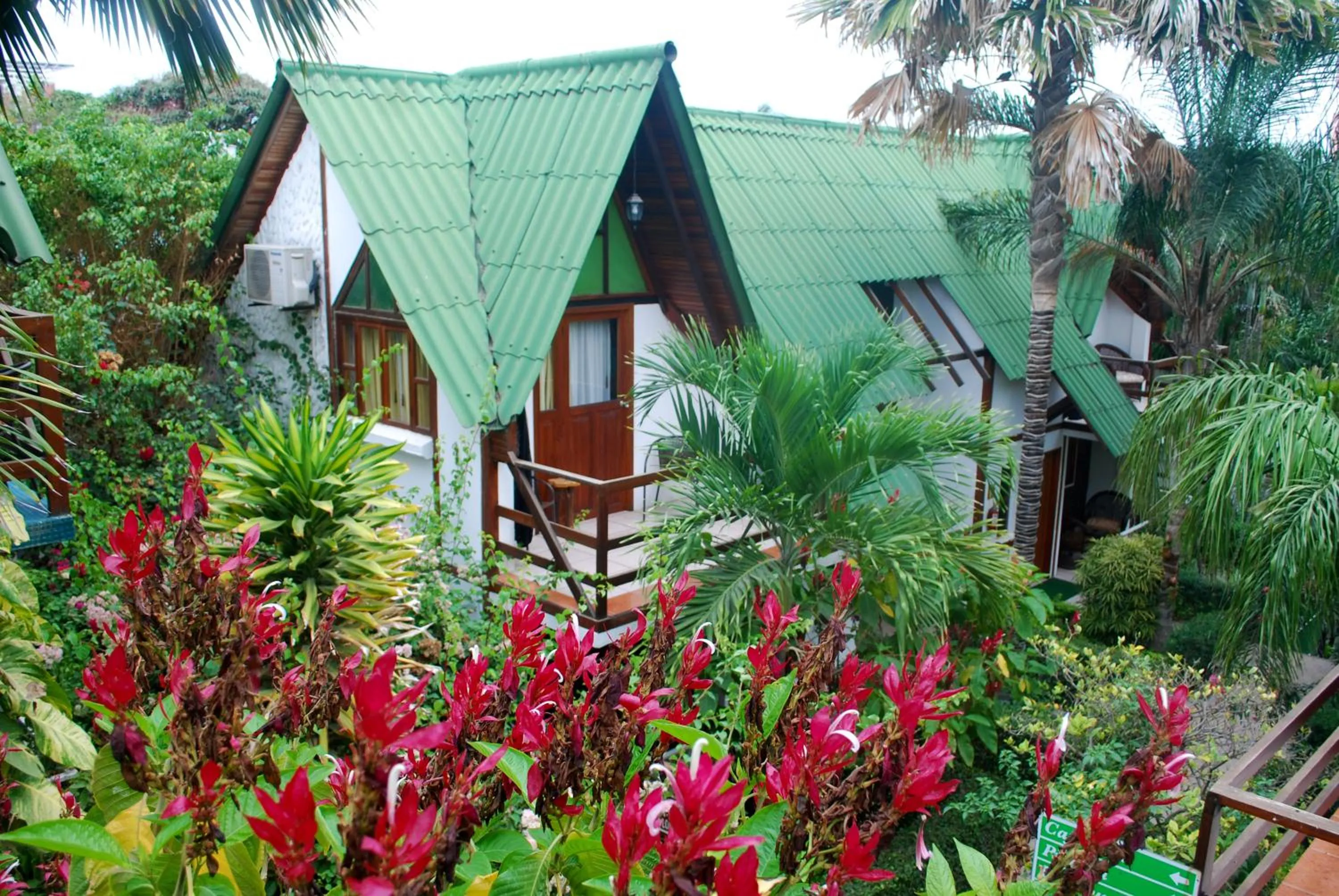 Garden in Hotel Balandra