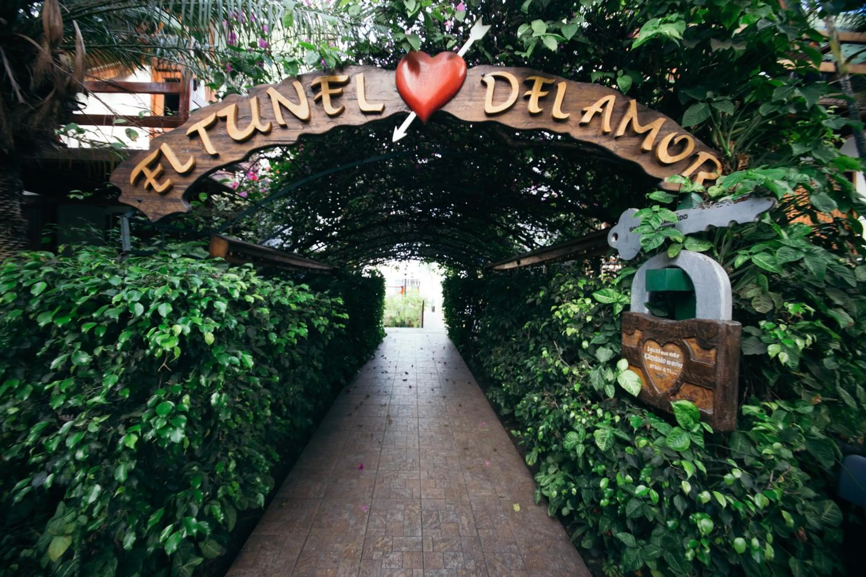 Garden in Hotel Balandra