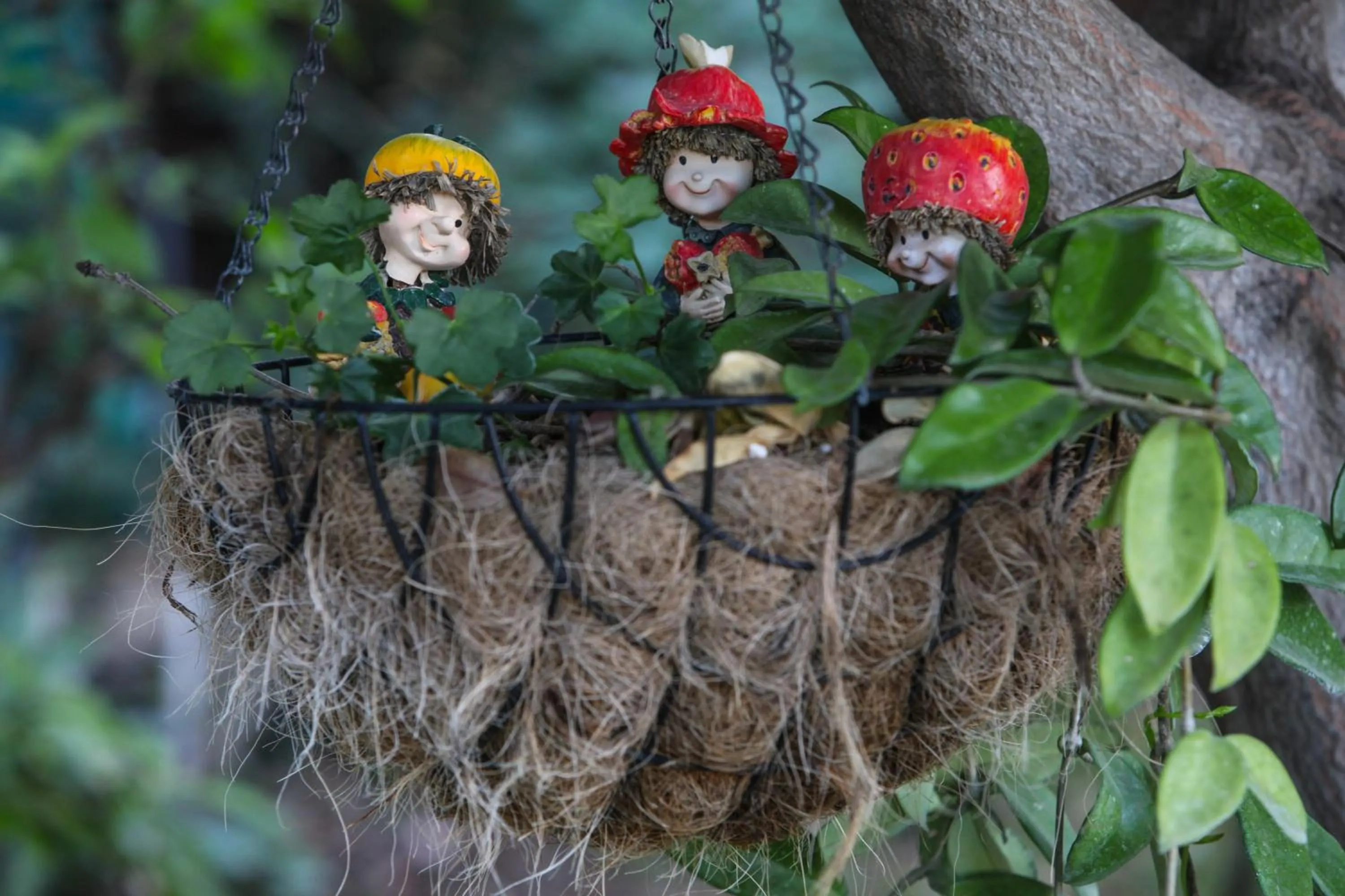 Garden in Havaya Ba Nof Lodge