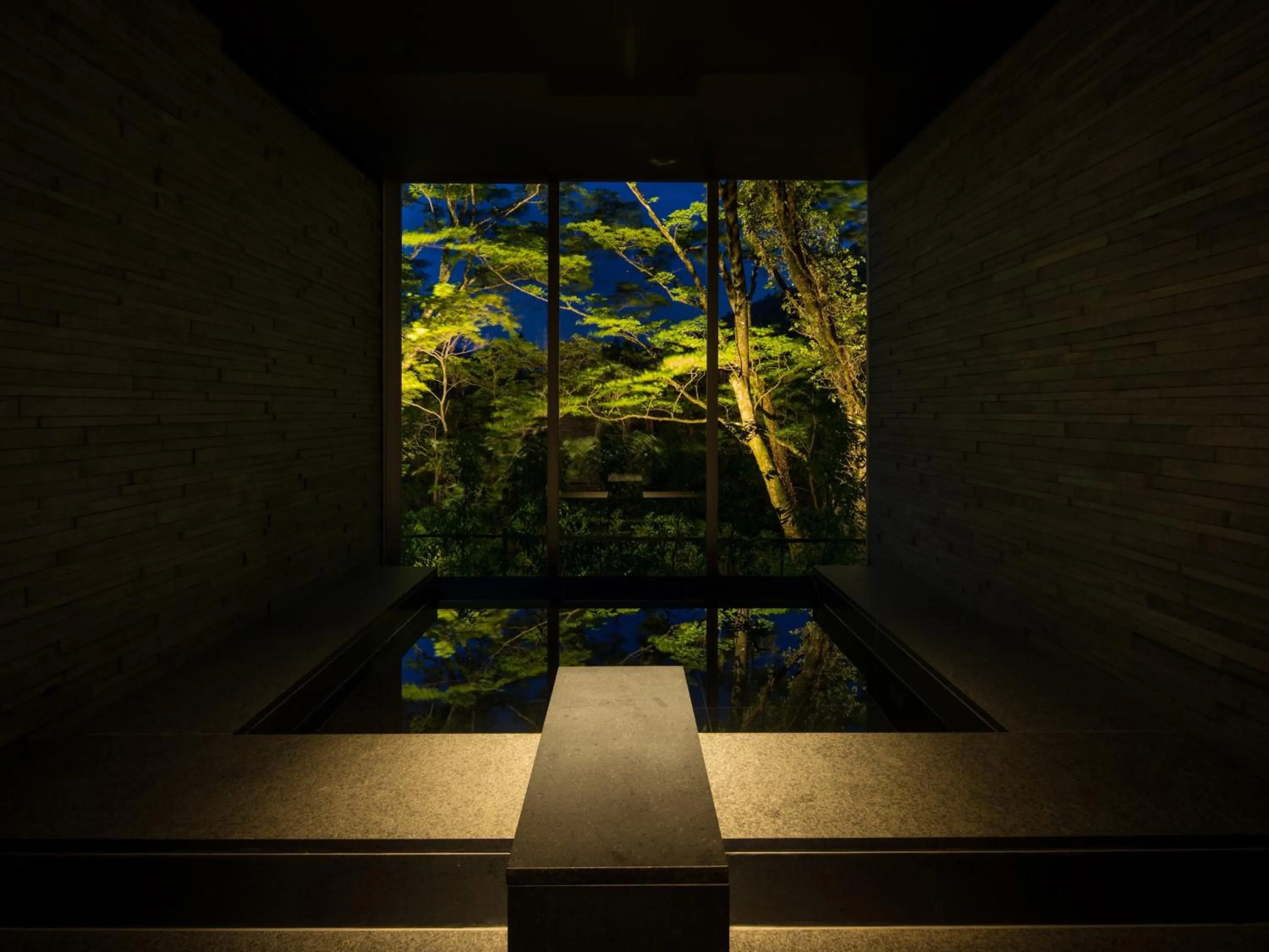 Spa and wellness centre/facilities in barhotel Hakone Kazan