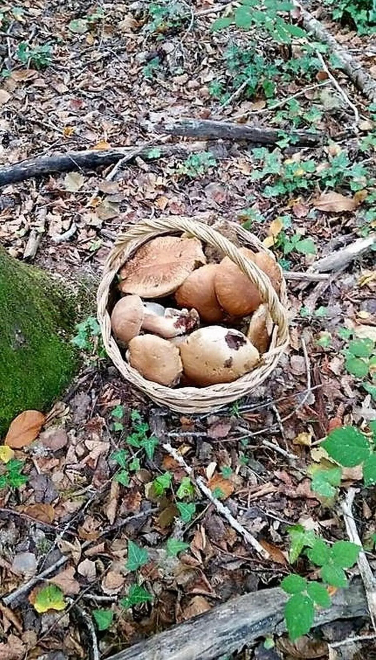 Hiking in B&B Leofreni Natura