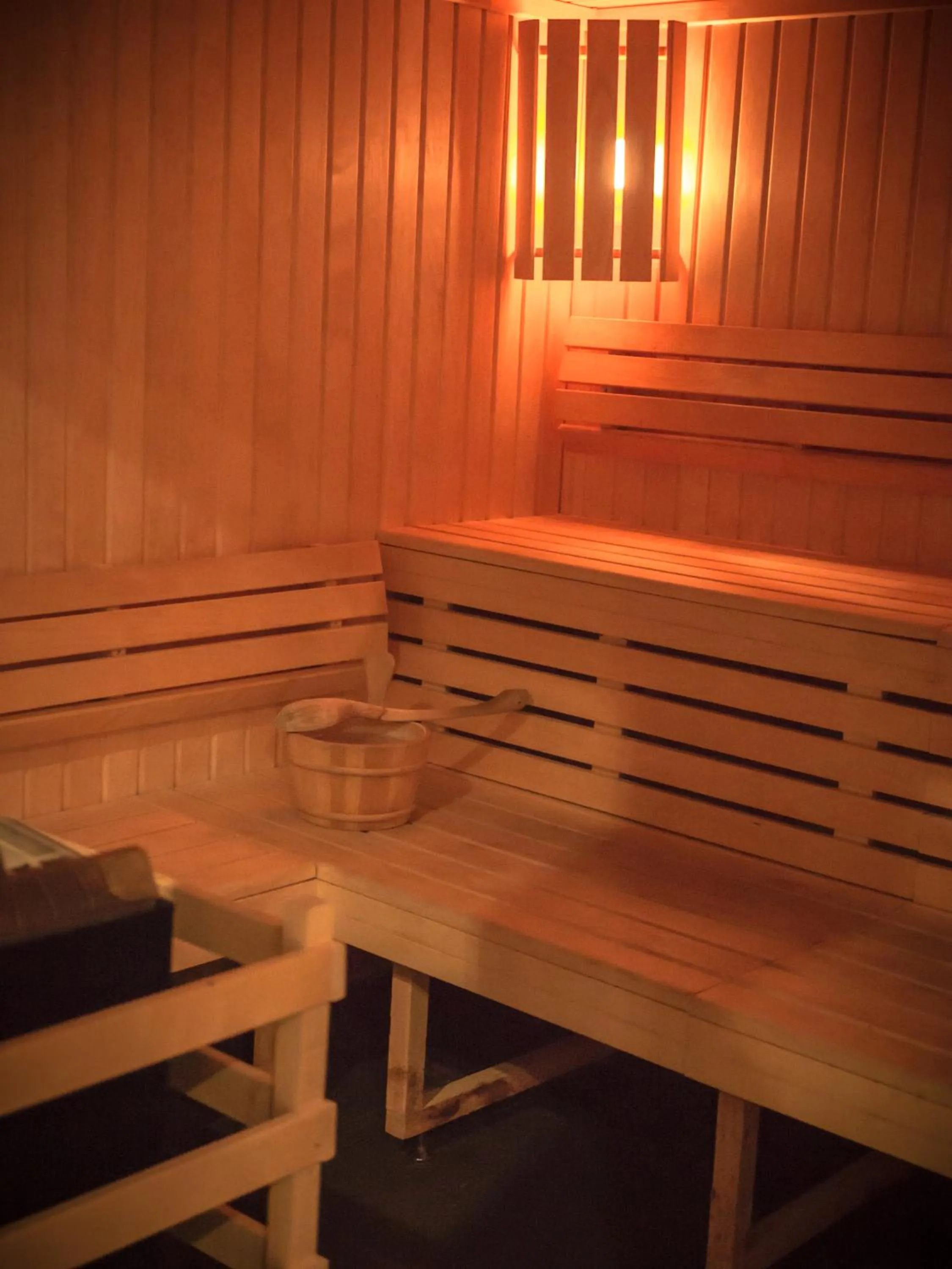 Sauna in Pullman Brussels Centre Midi