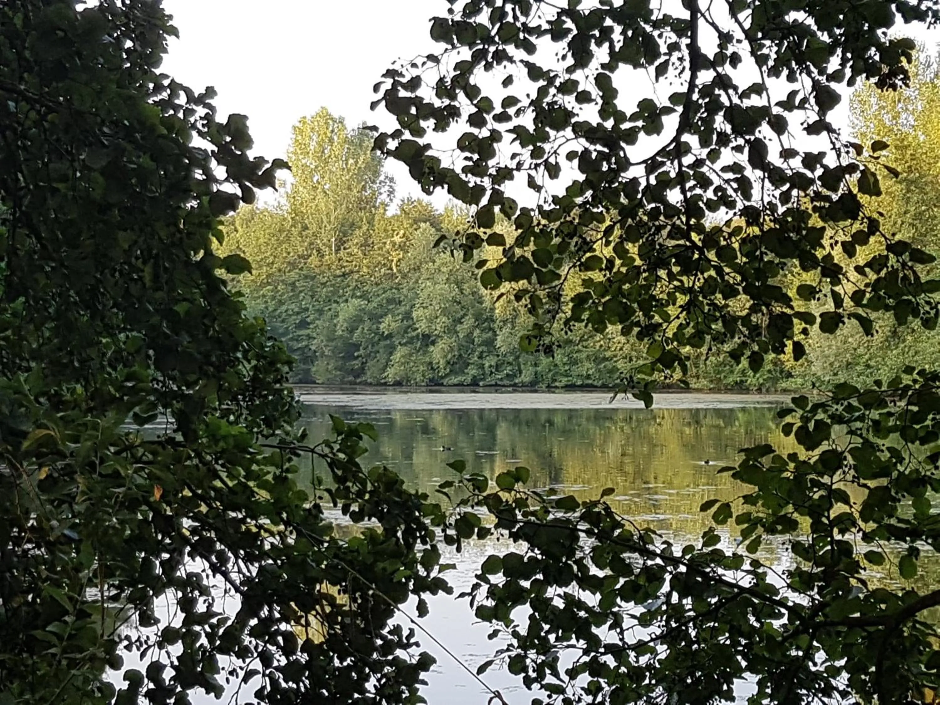 Lake view in Ibis Château-Thierry