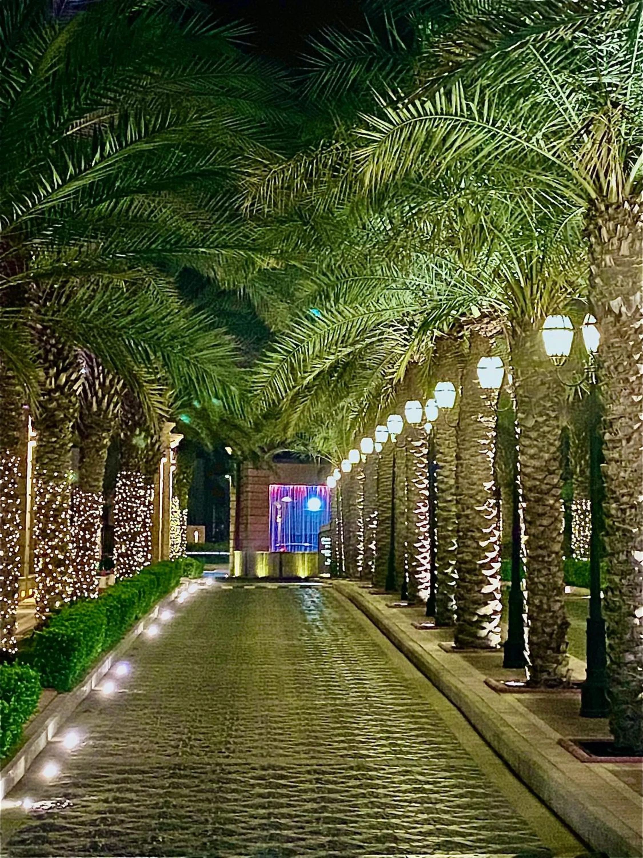 Night in The Apartments