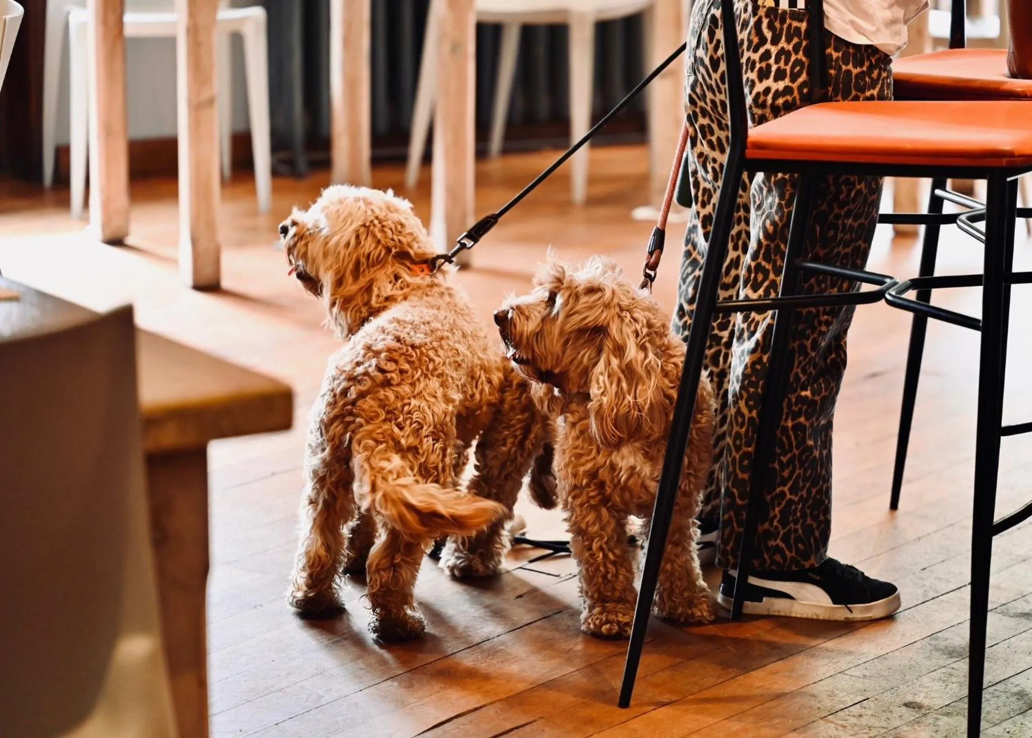 Lobby or reception in The Bakery B&B