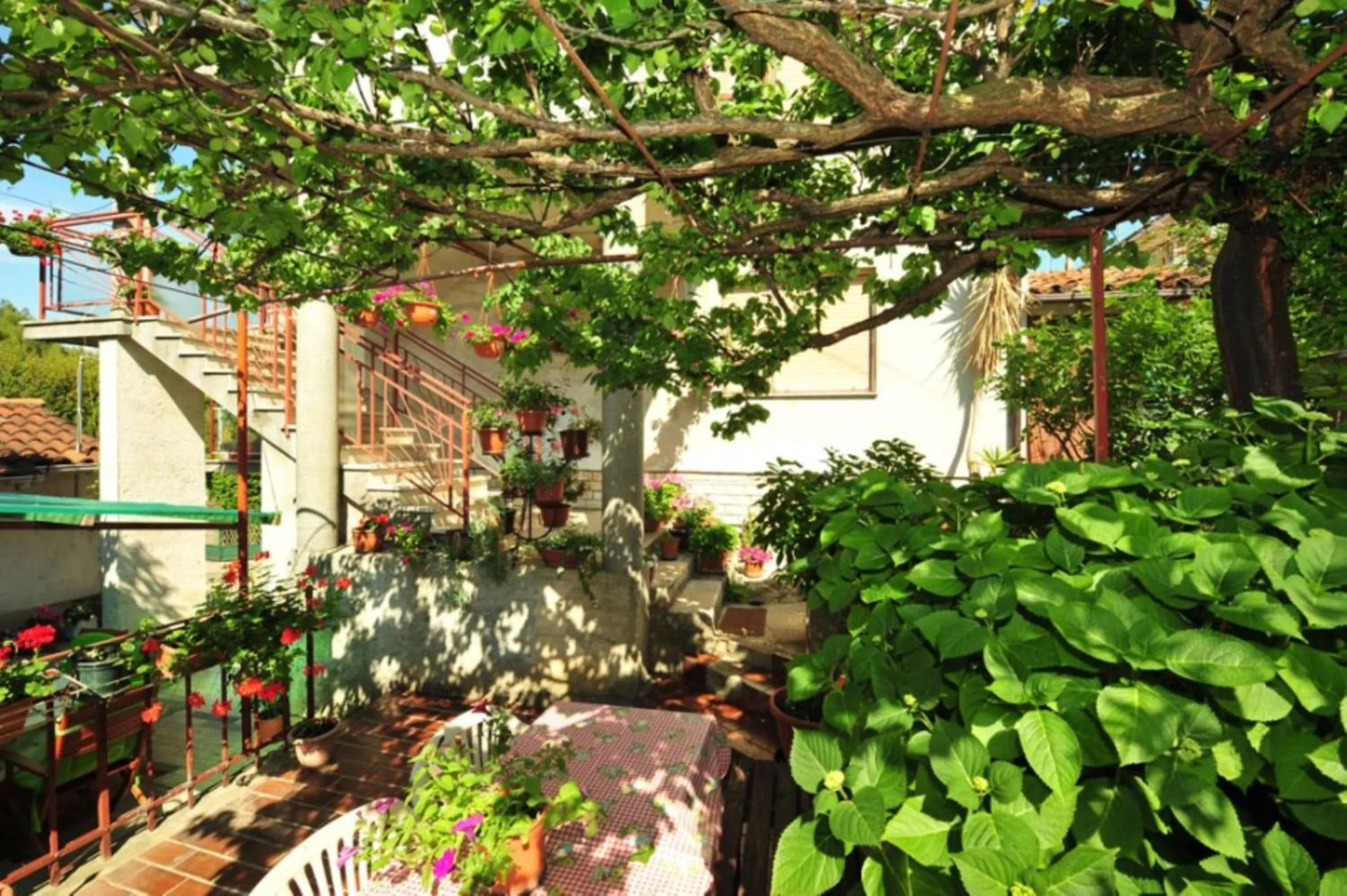 Garden in Apartment Patricia