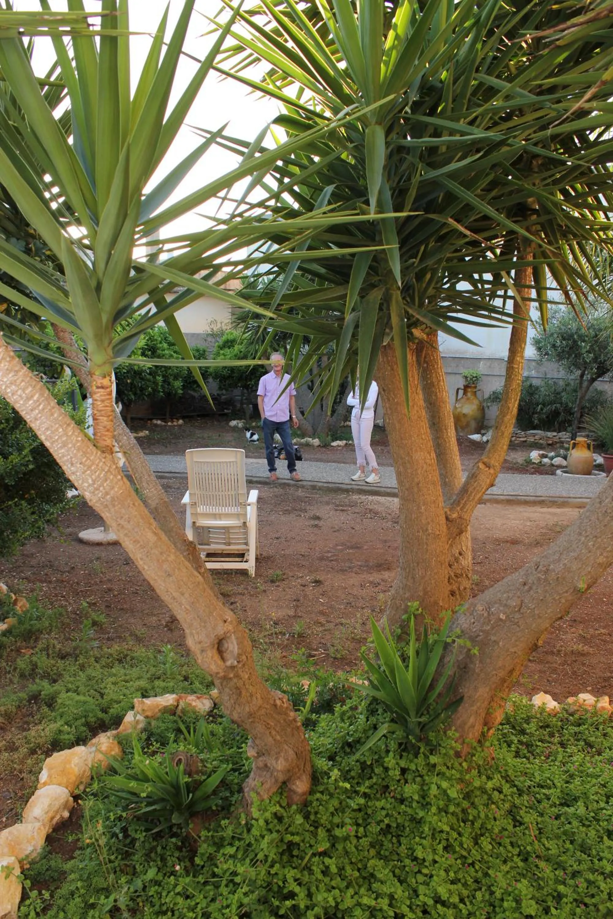Property building in B&B Milena