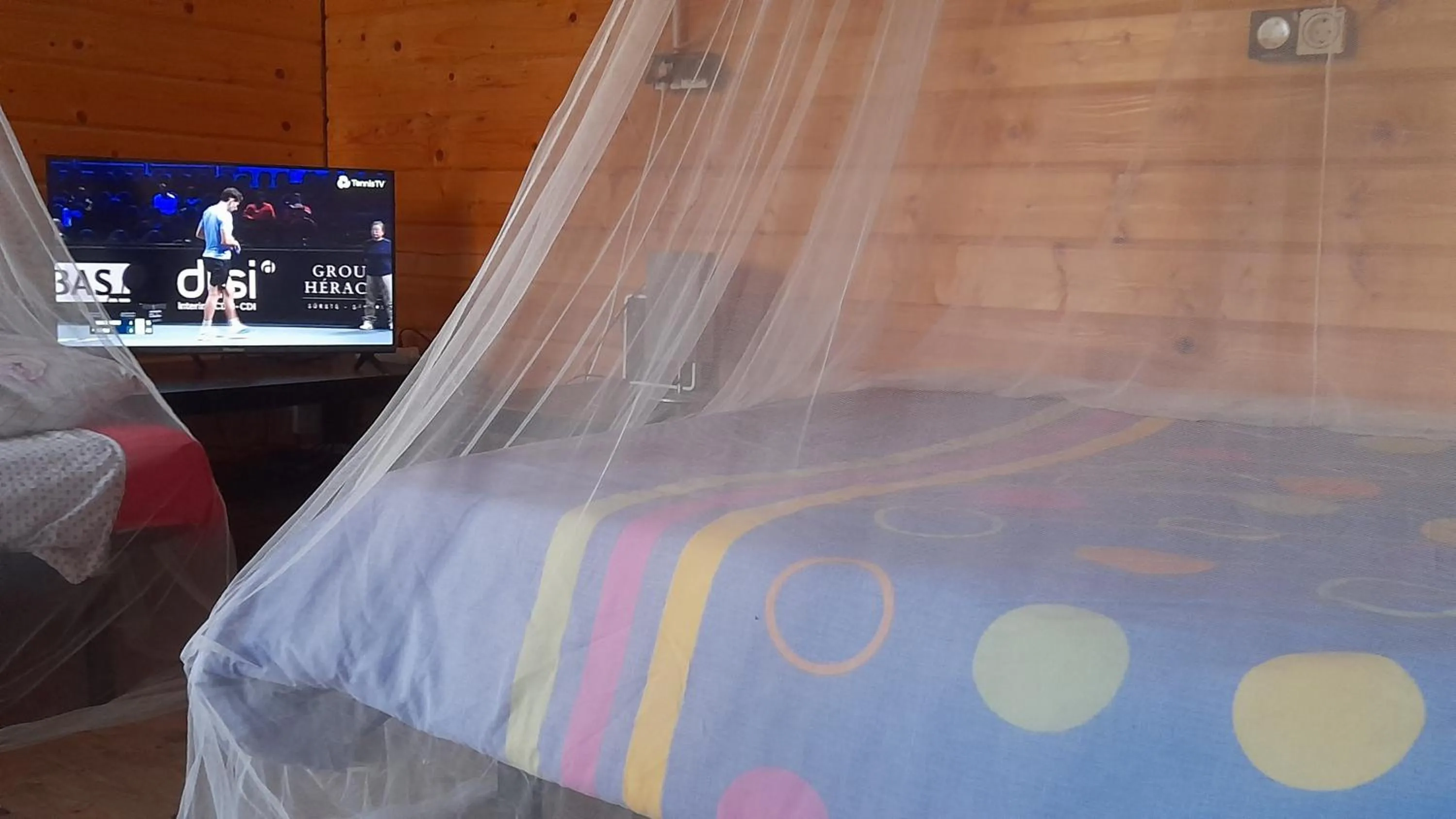 Bed in Coruña Backpackers Hostel