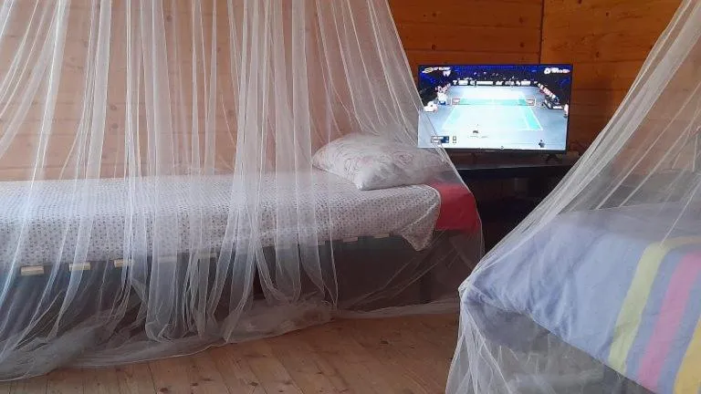 Bed in Coruña Backpackers Hostel