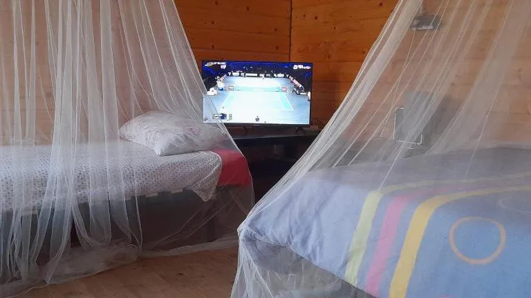 Bed in Coruña Backpackers Hostel