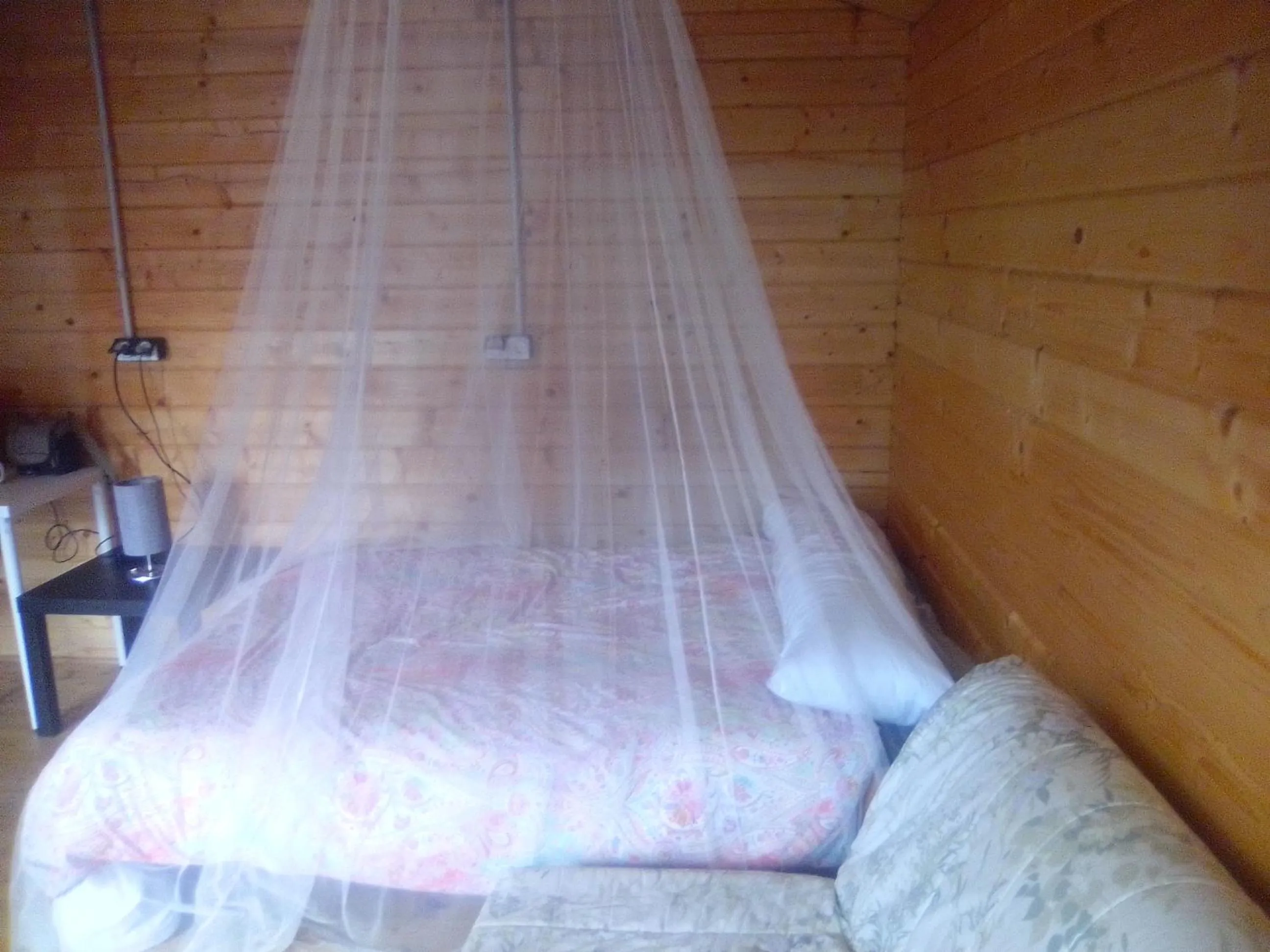 Bed in Coruña Backpackers Hostel