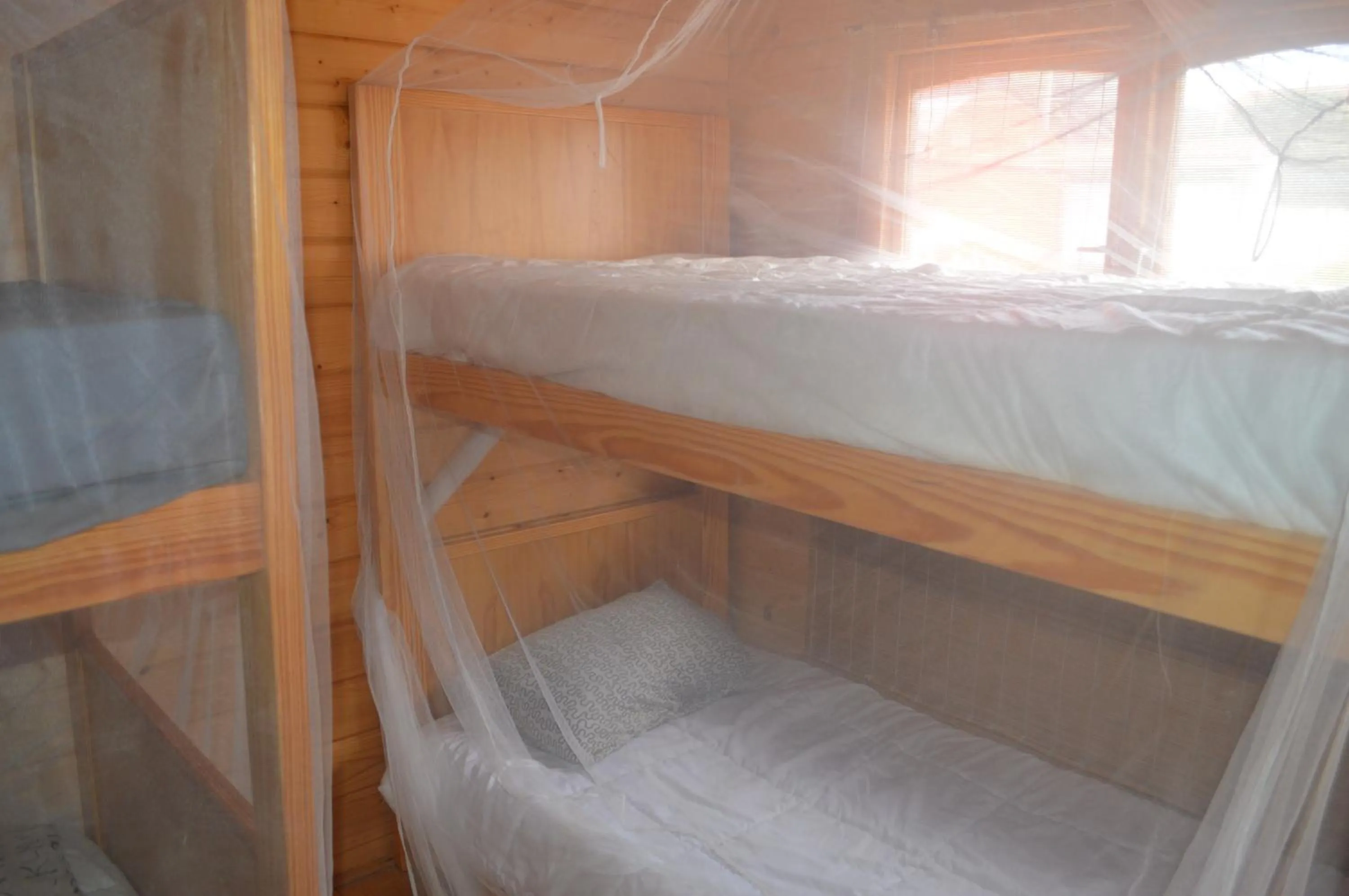 bunk bed, Bed in Coruña Backpackers Hostel