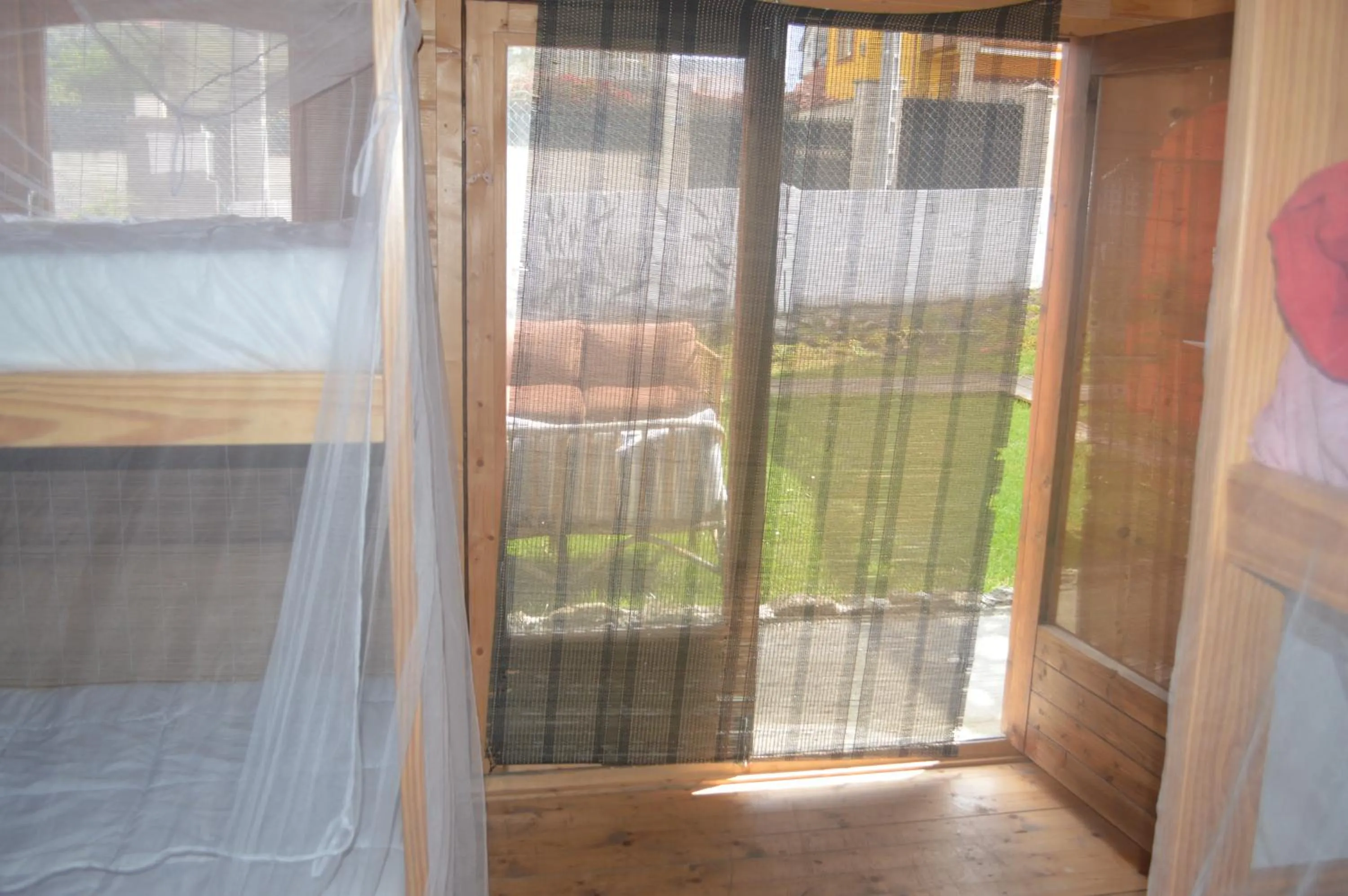 Garden view in Coruña Backpackers Hostel