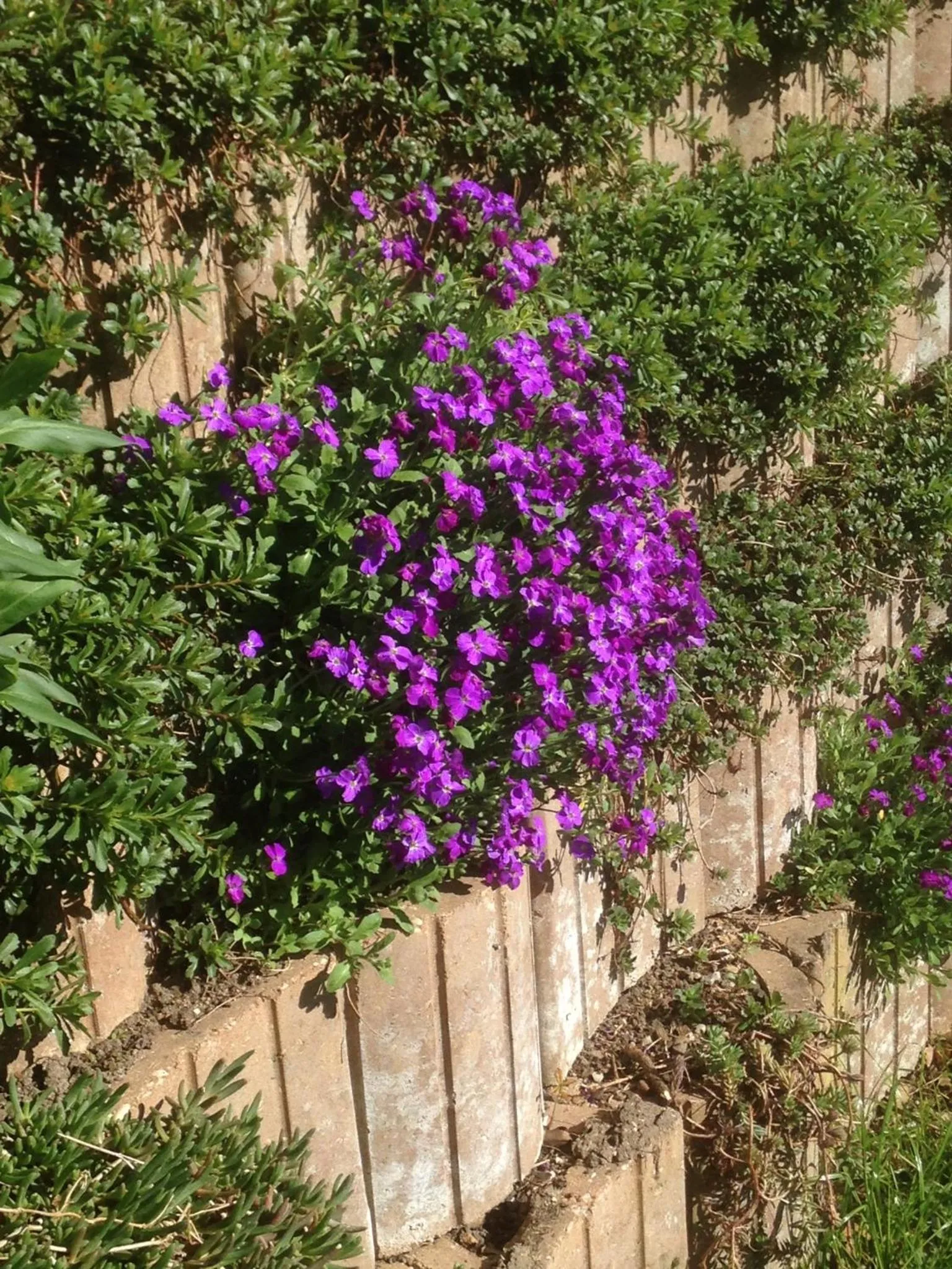 Garden in Le Relais des Malettes Chambres d'hôtes B&B