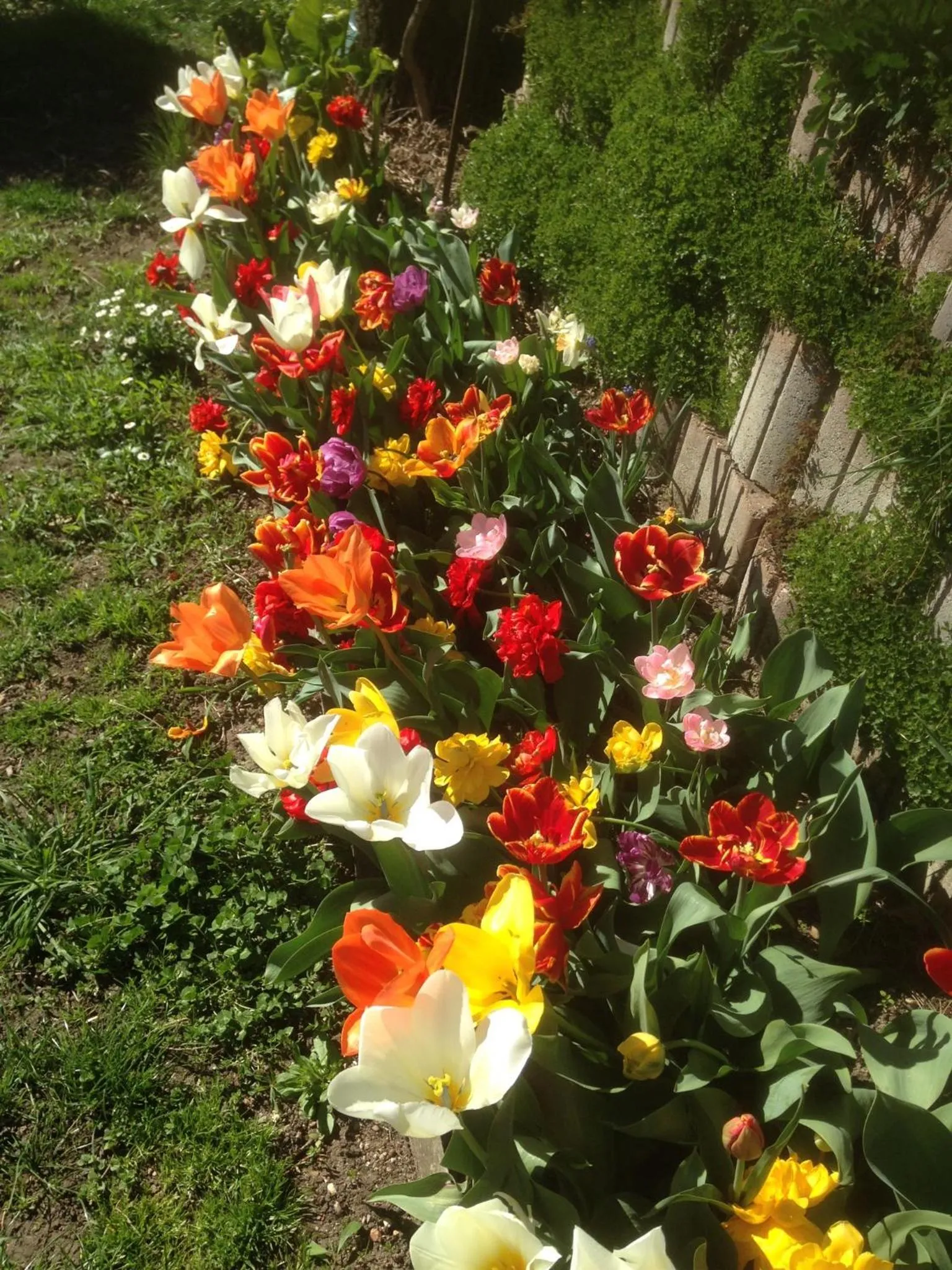 Garden in Le Relais des Malettes Chambres d'hôtes B&B