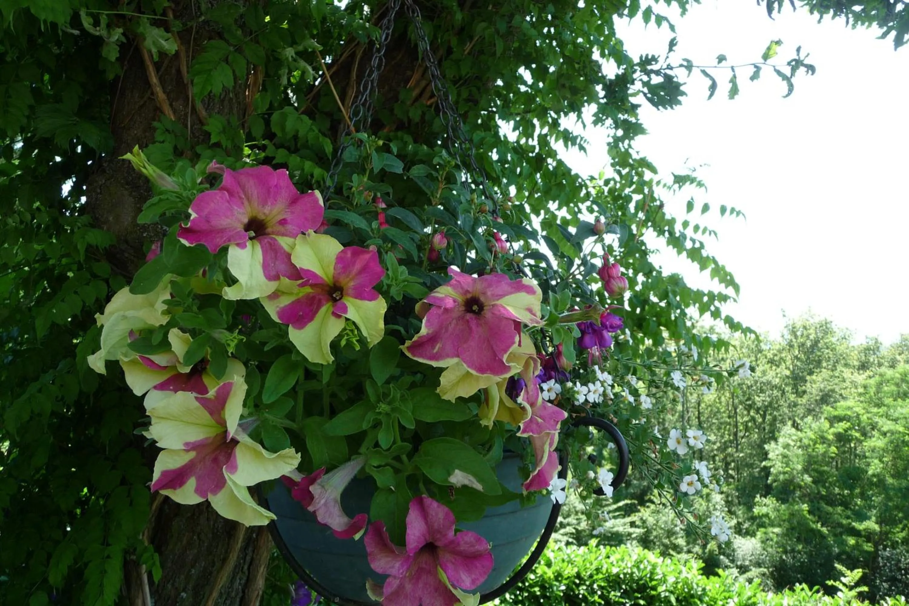 Balcony/Terrace in Le Relais des Malettes Chambres d'hôtes B&B