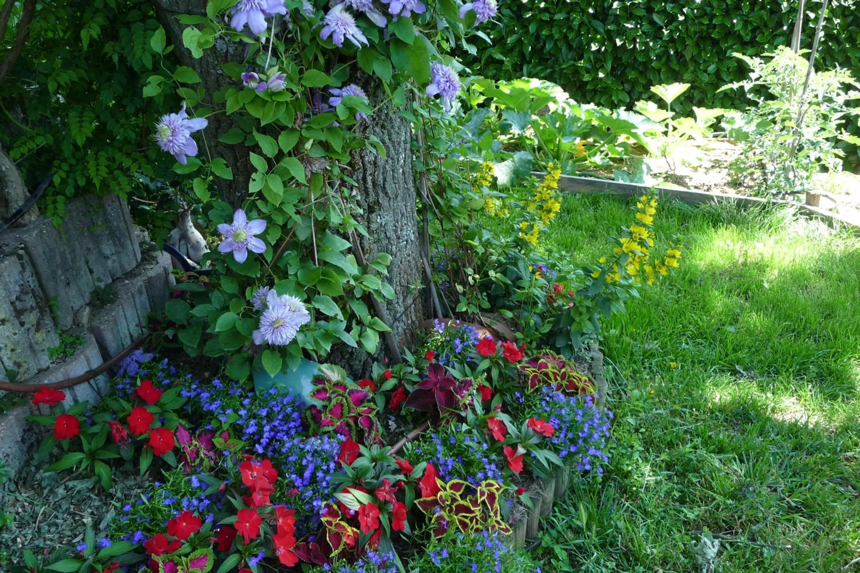 Garden in Le Relais des Malettes Chambres d'hôtes B&B