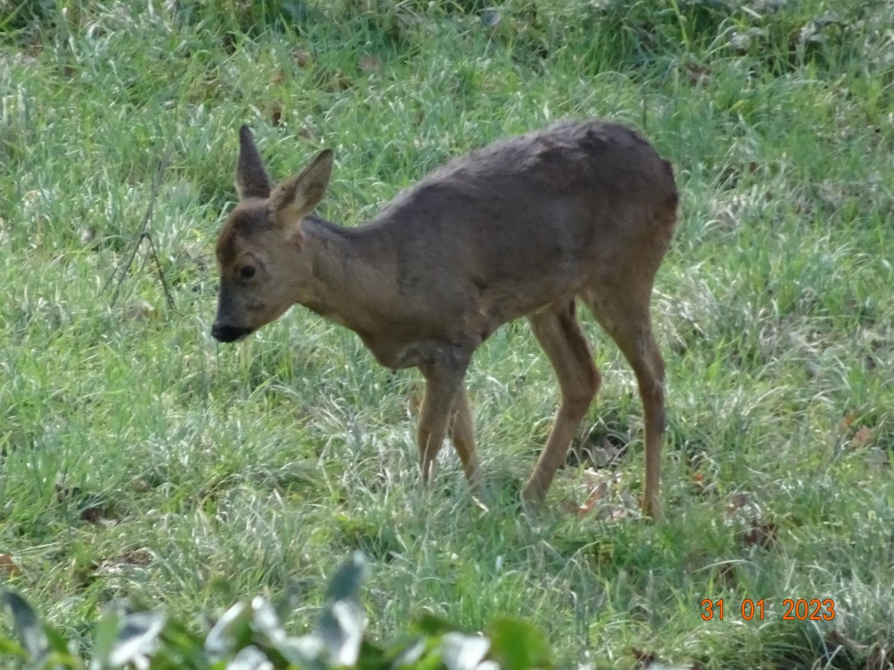 Day in Le Relais des Malettes Chambres d'hôtes B&B