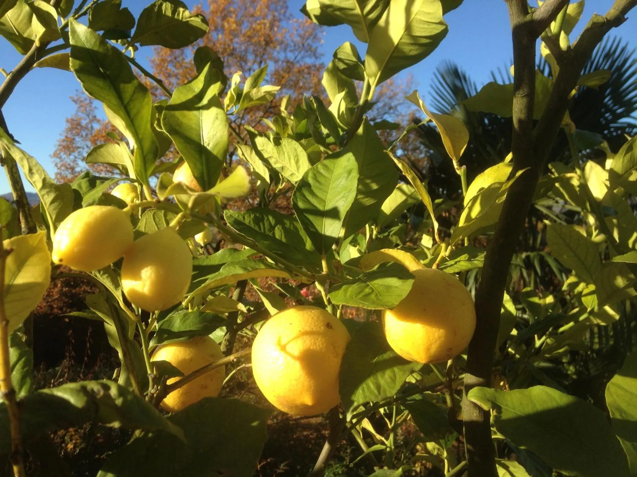 Garden view in Le Relais des Malettes Chambres d'hôtes B&B