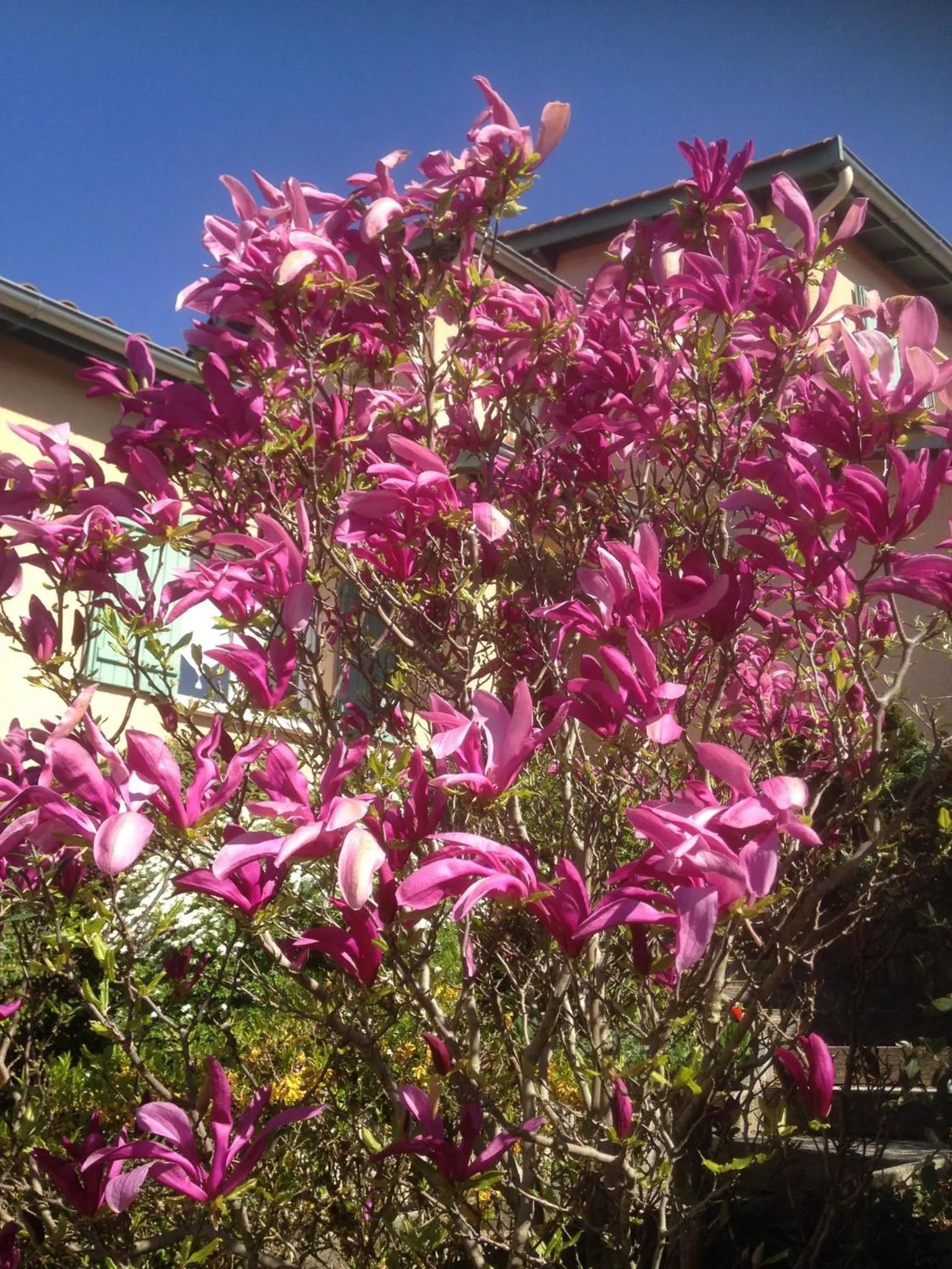 Garden in Le Relais des Malettes Chambres d'hôtes B&B