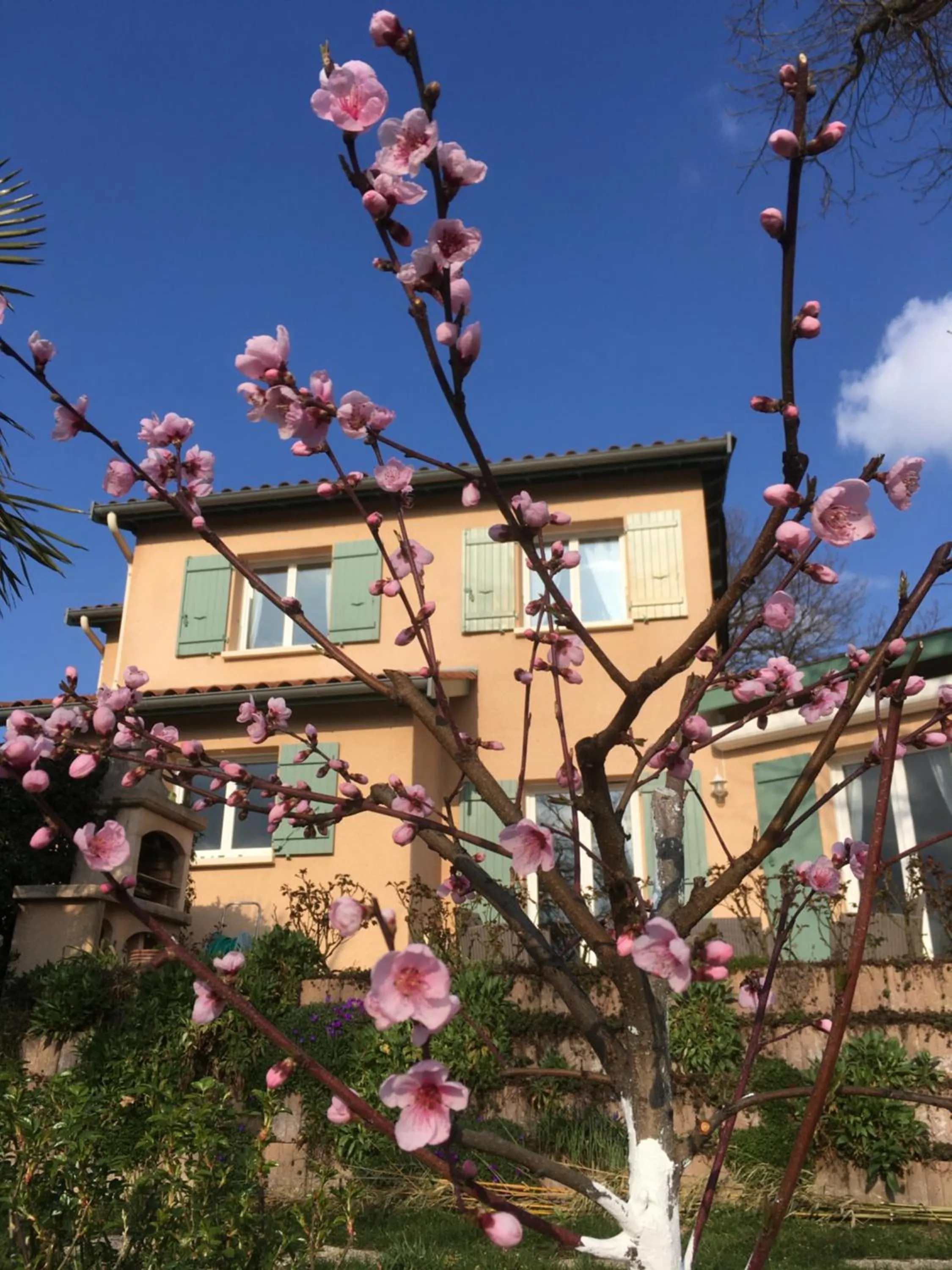 Property building in Le Relais des Malettes Chambres d'hôtes B&B