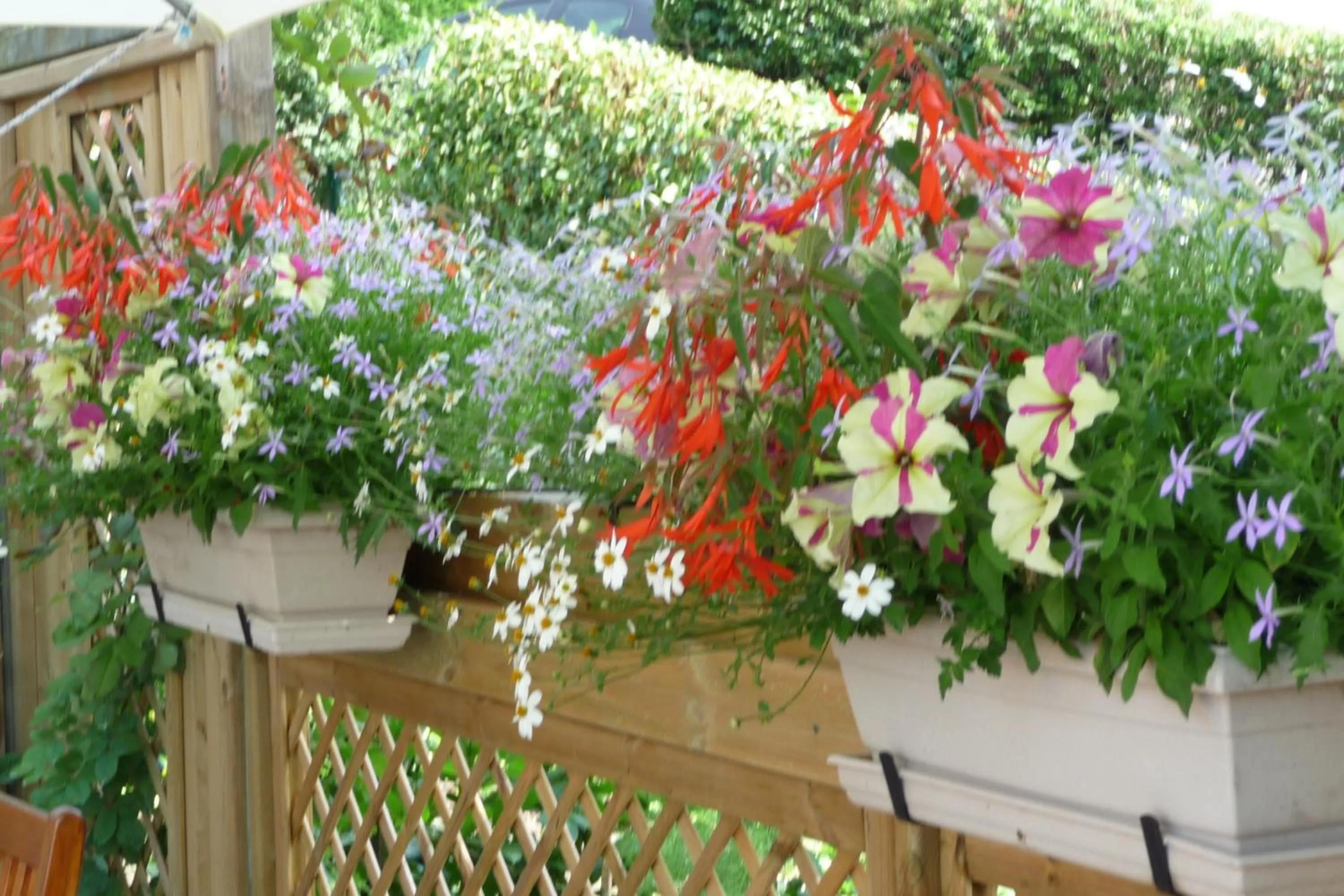 Balcony/Terrace in Le Relais des Malettes Chambres d'hôtes B&B