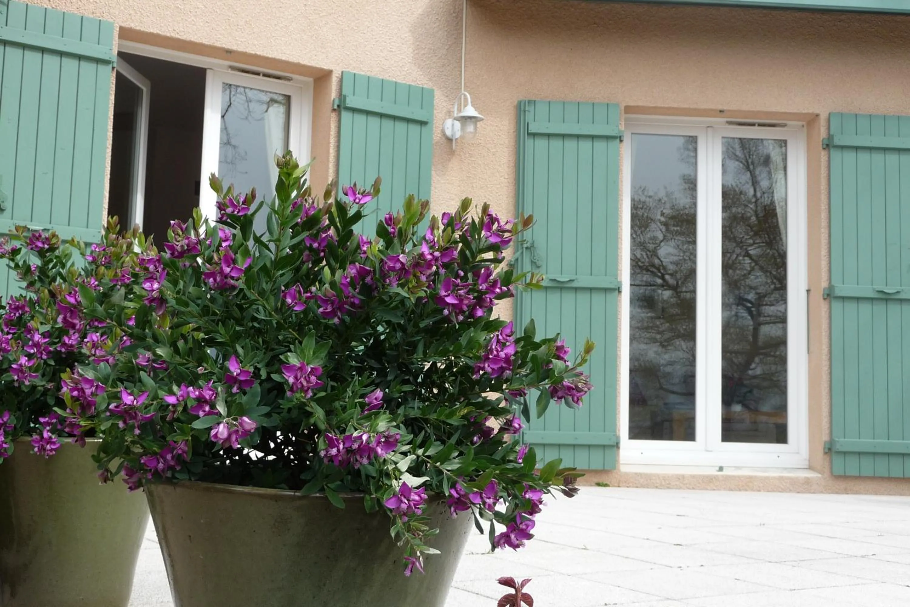 Balcony/Terrace in Le Relais des Malettes Chambres d'hôtes B&B