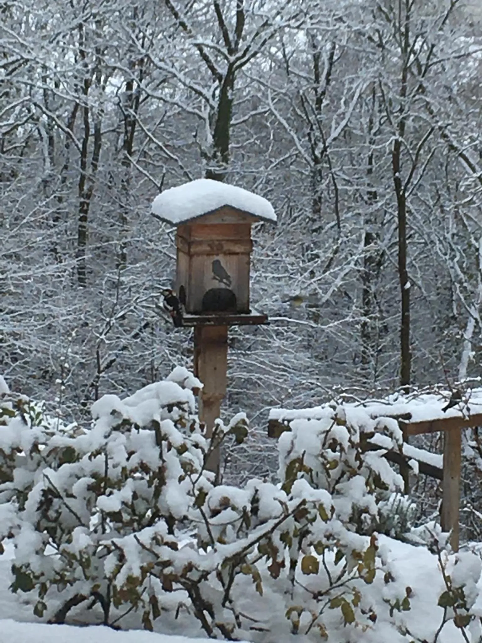 Winter in Le Relais des Malettes Chambres d'hôtes B&B