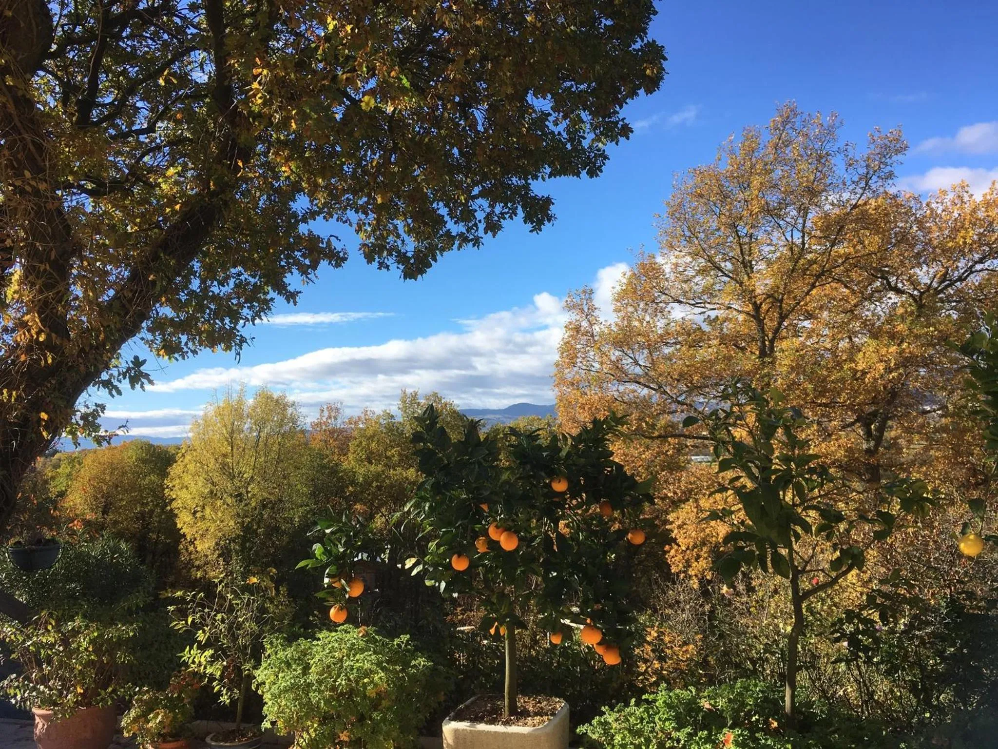 Garden view in Le Relais des Malettes Chambres d'hôtes B&B