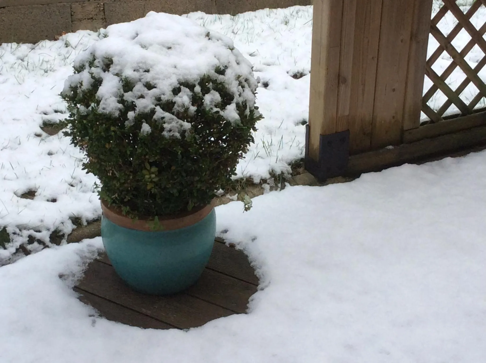 Garden in Le Relais des Malettes Chambres d'hôtes B&B
