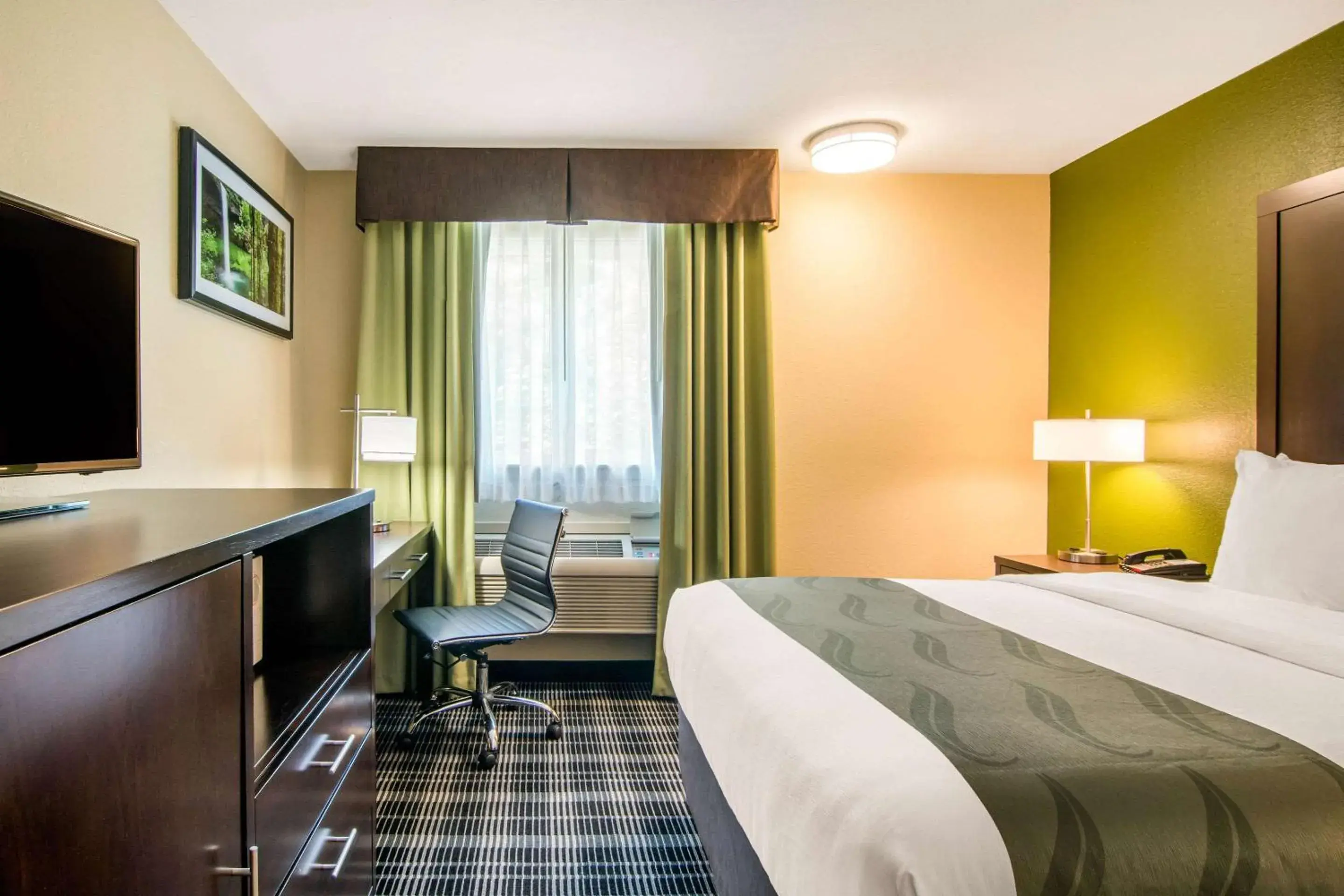 Photo of the whole room, Bed in Quality Inn & Suites Albany Corvallis Photo of the whole room, Bed in Quality Inn & Suites Albany Corvallis