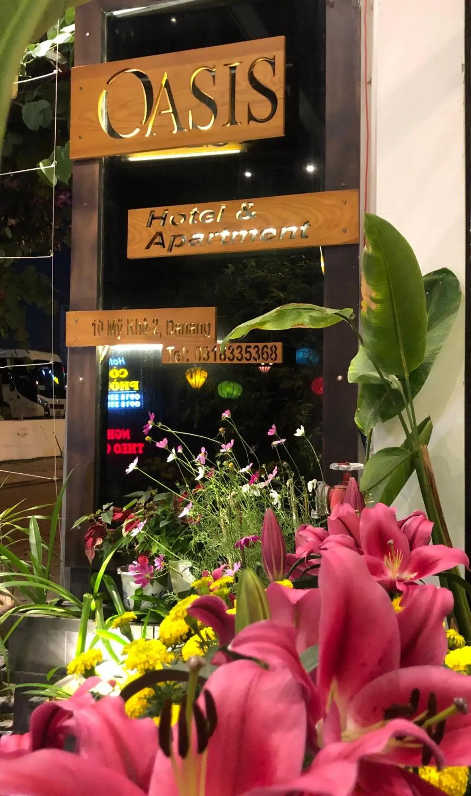 Oasis Hotel & Apartment Oasis Hotel & Apartment