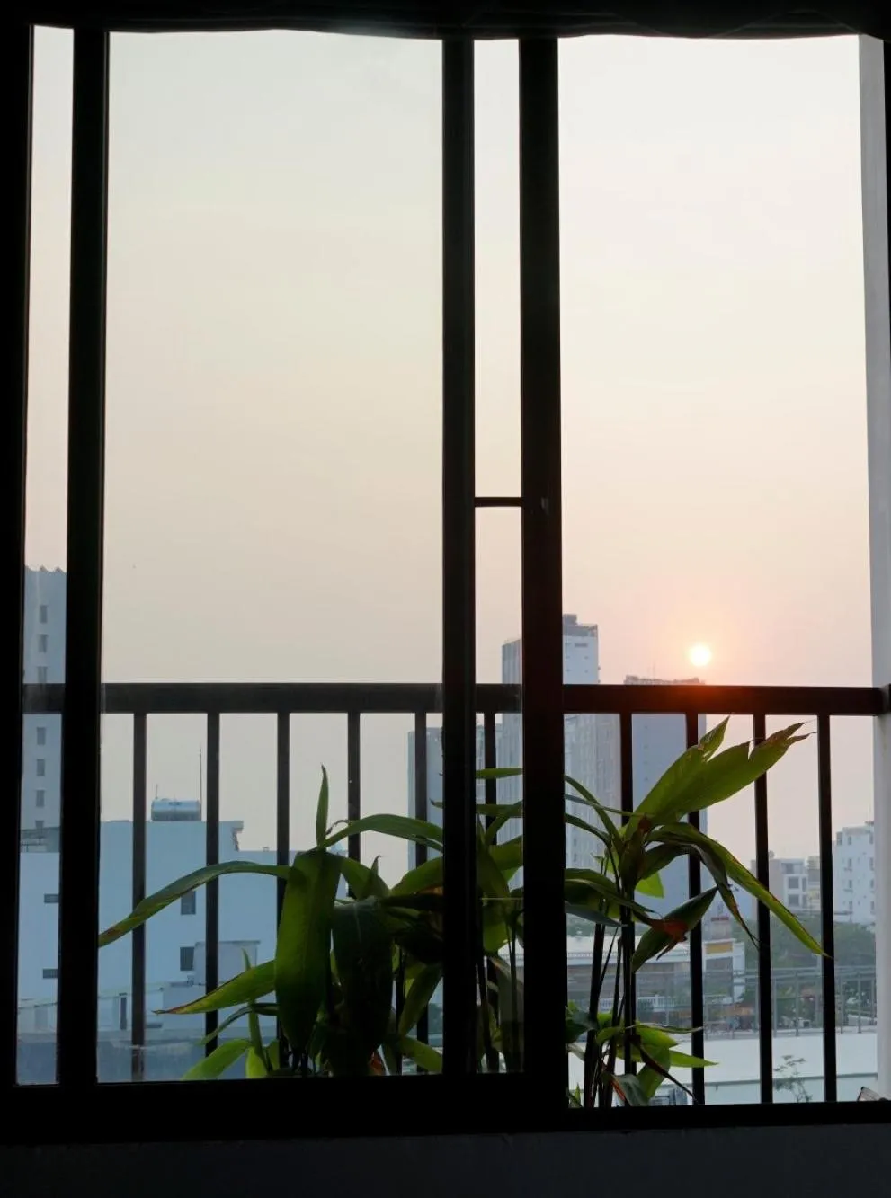 Oasis Hotel & Apartment