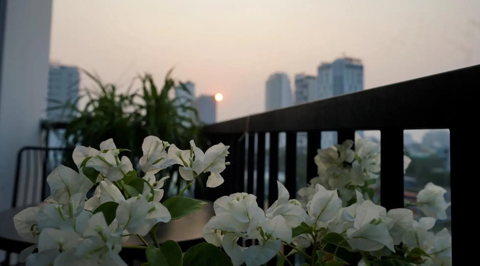 Oasis Hotel & Apartment Oasis Hotel & Apartment