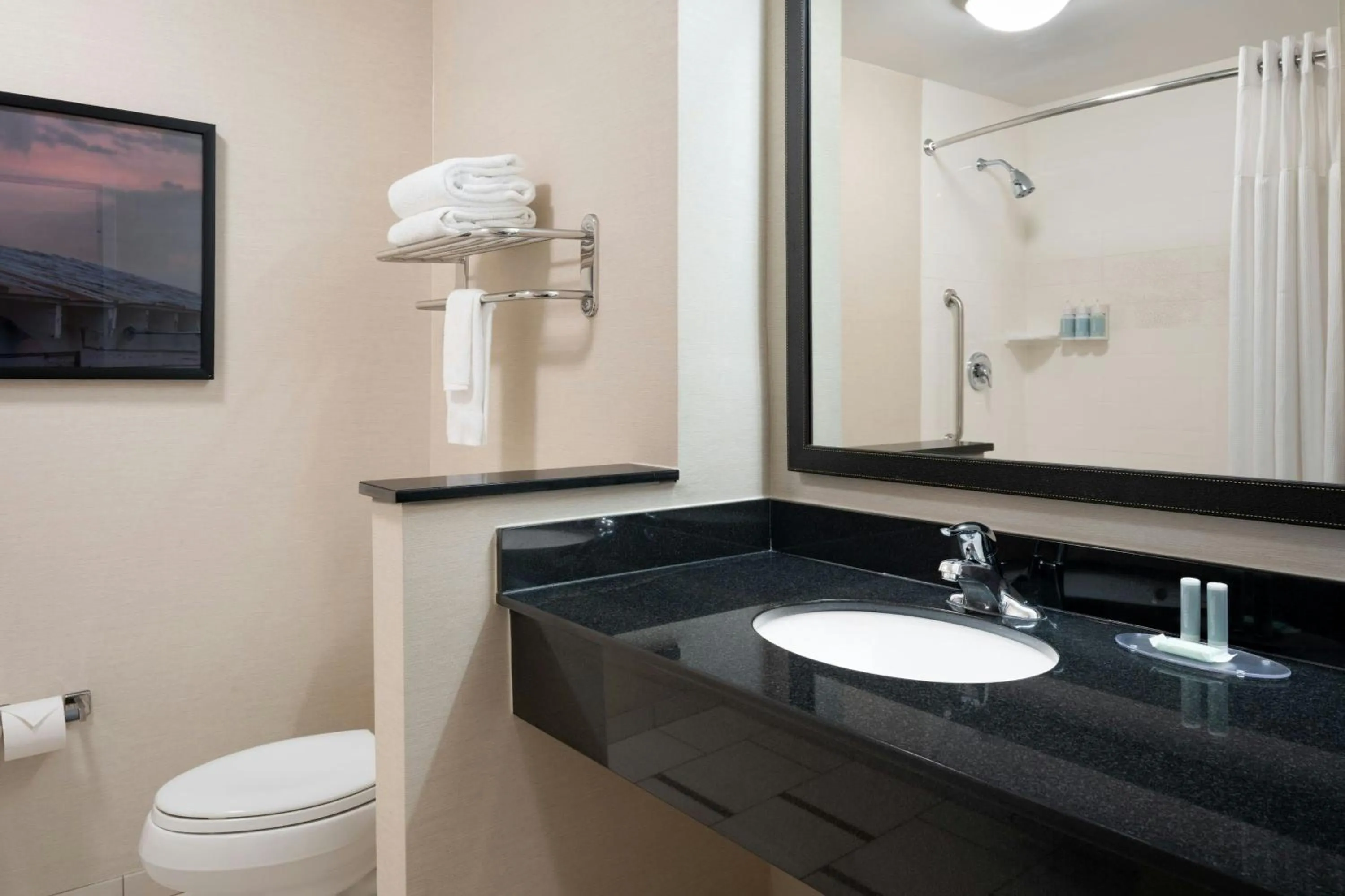 Bathroom in Fairfield Inn & Suites by Marriott Towanda Wysox