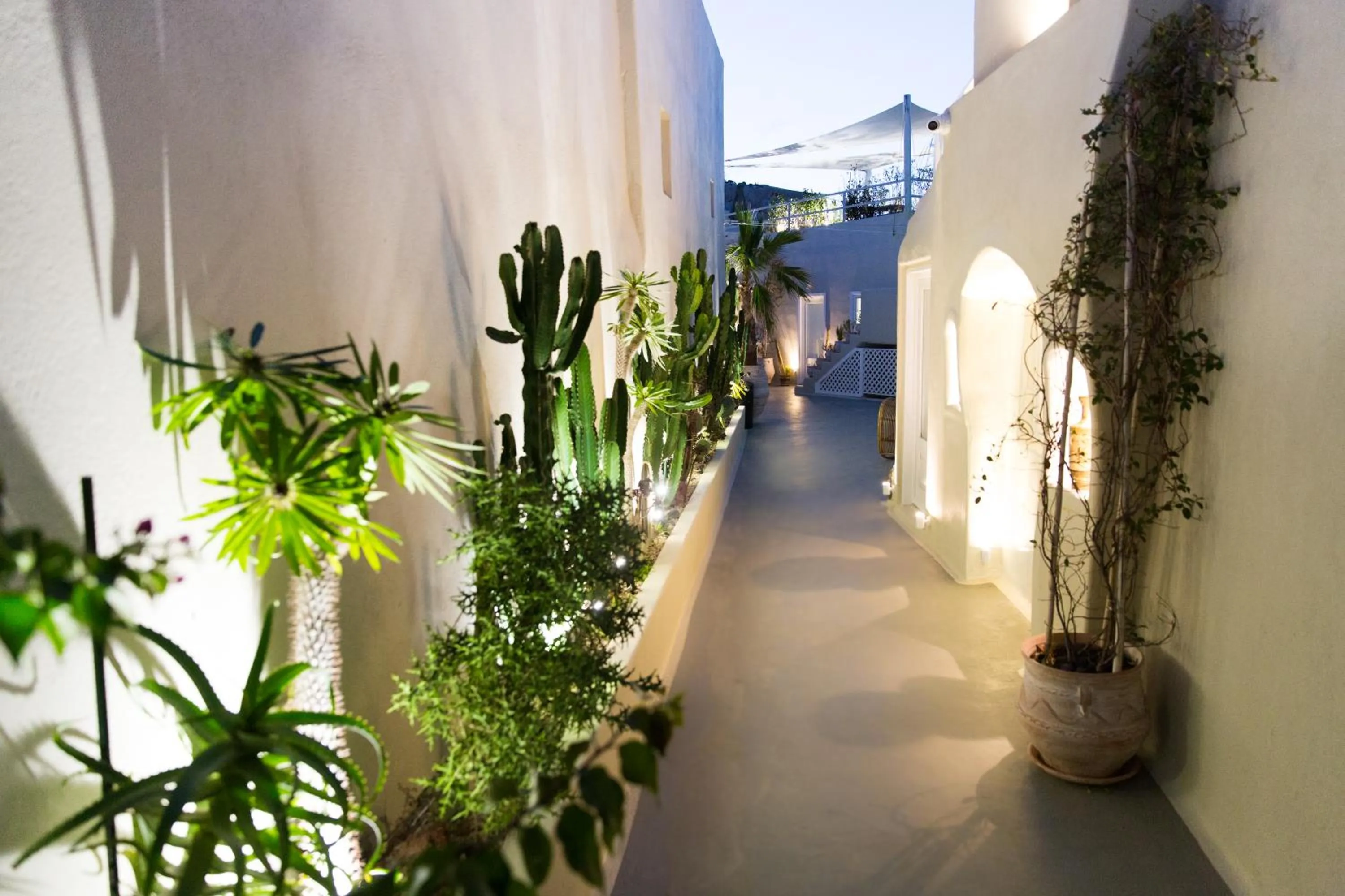 On site in Edem Boutique Suites