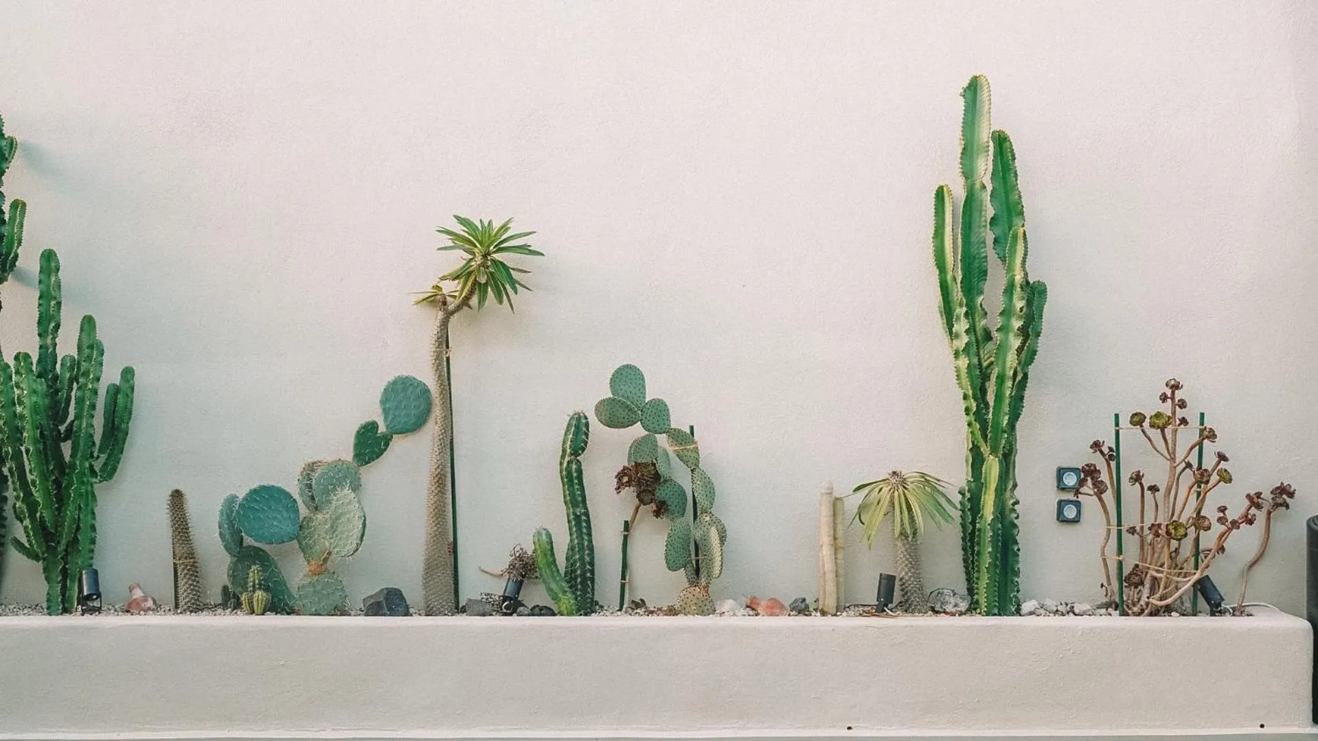 Garden in Edem Boutique Suites