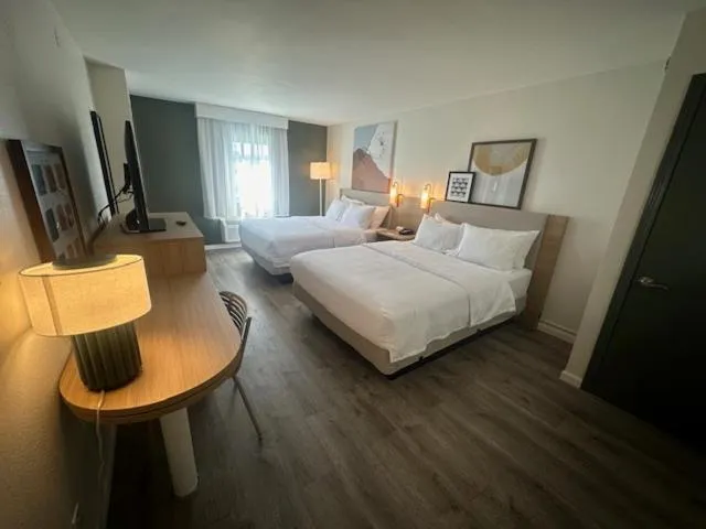 Bed in Baymont by Wyndham Rock Springs