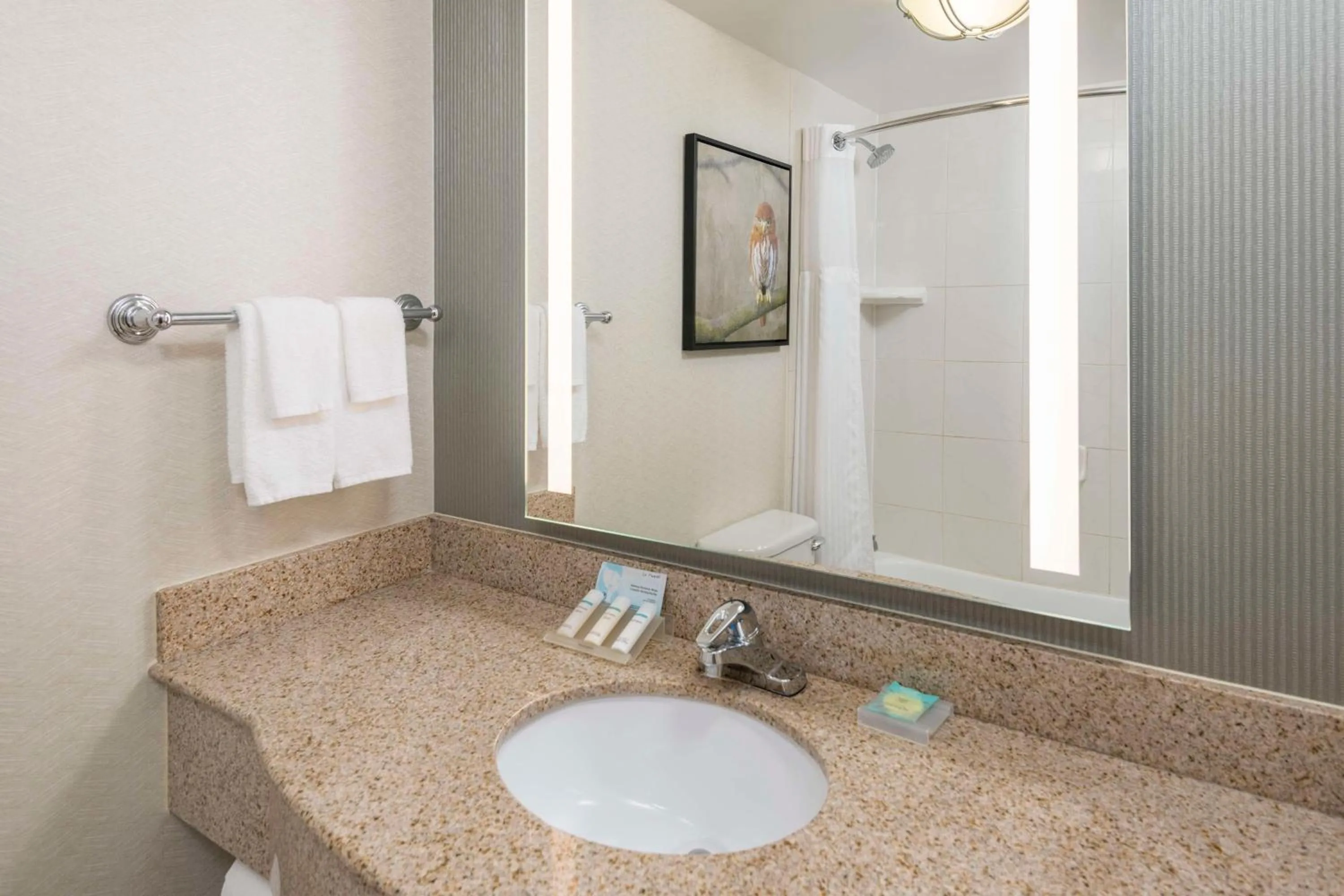 Bathroom in Hilton Garden Inn Scottsdale North/Perimeter Center