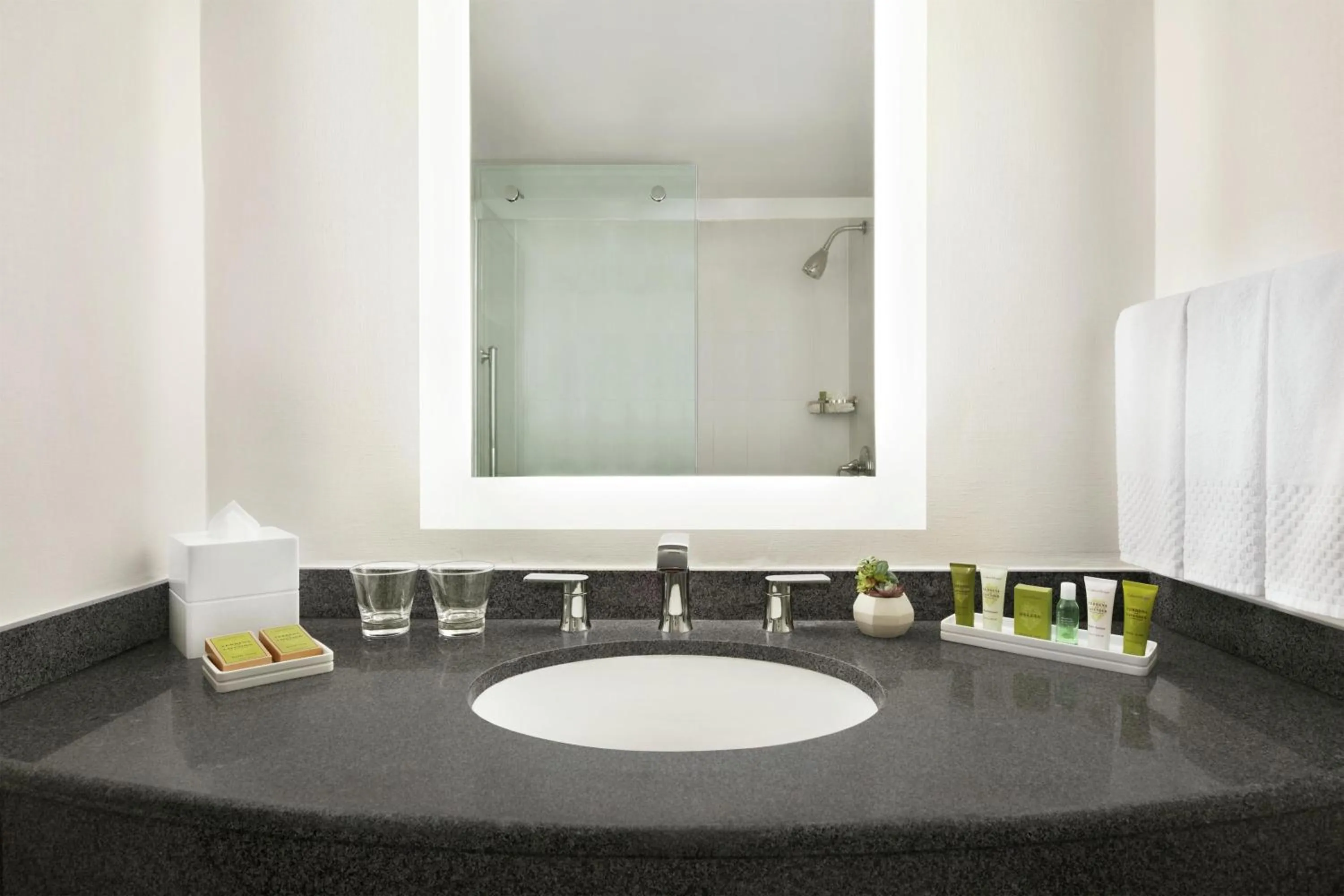 Bathroom in Hilton Scottsdale Resort & Villas