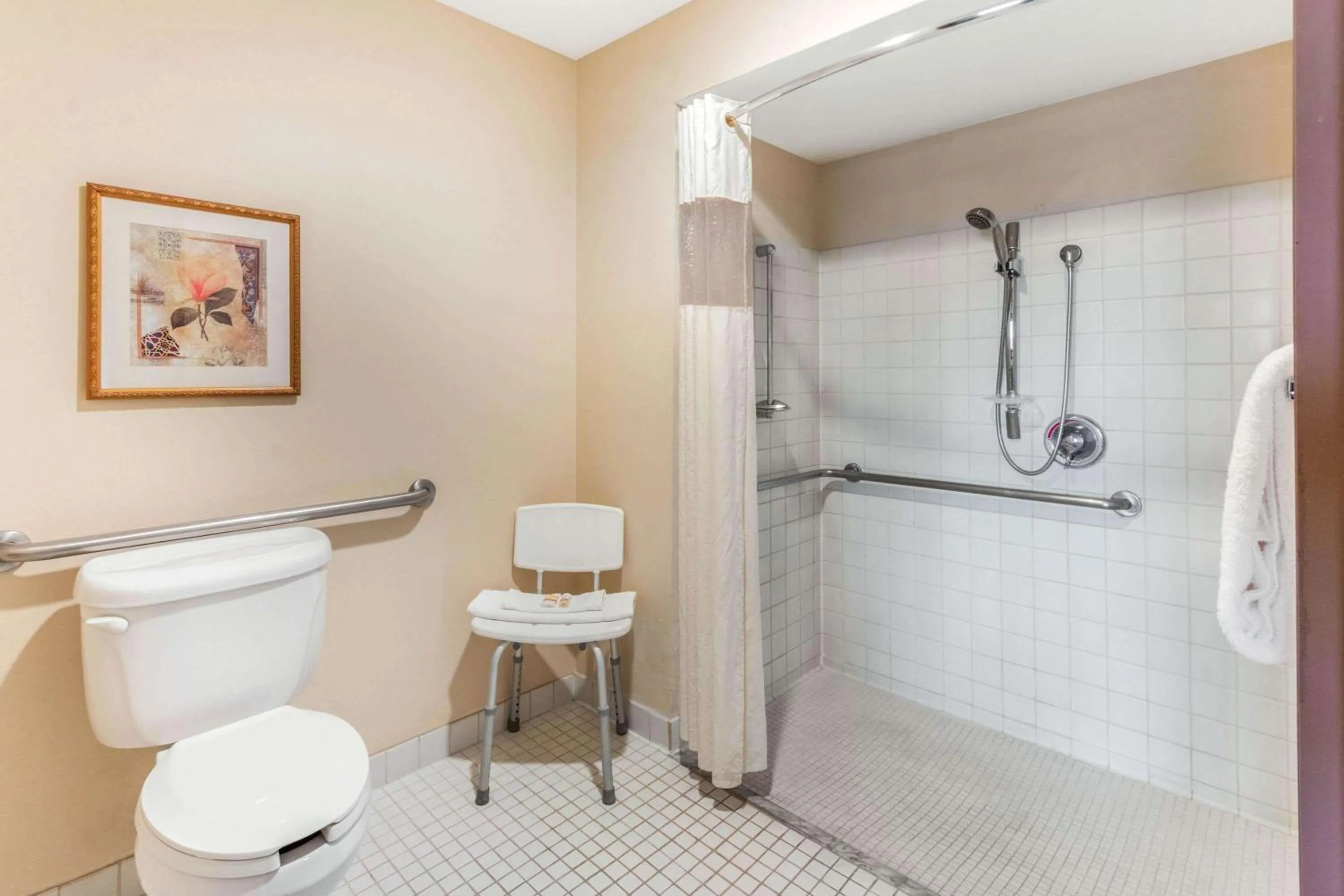 Shower in La Quinta Inn & Suites by Wyndham Las Cruces Organ Mountain