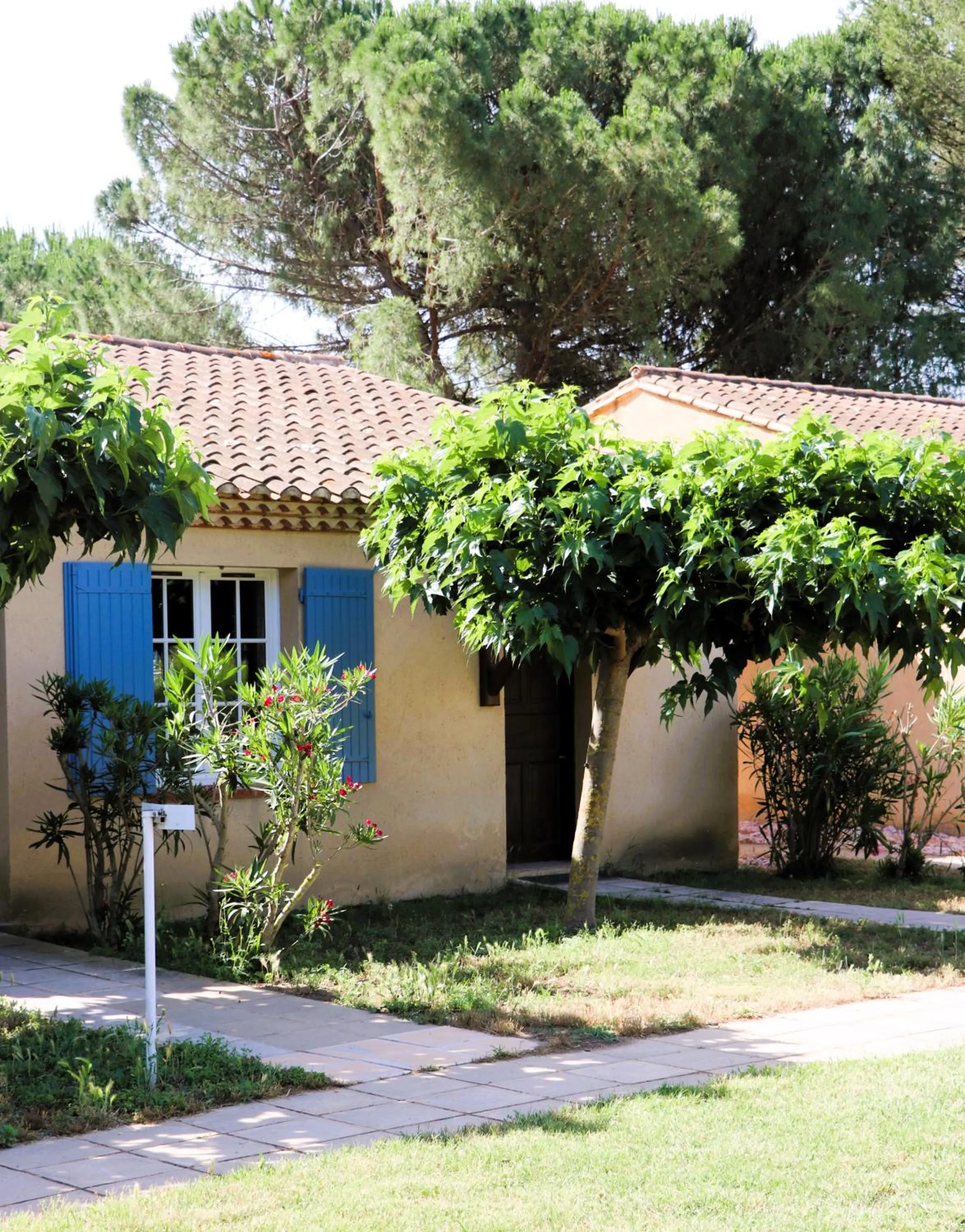 Natural landscape in Le Mas Des Sables