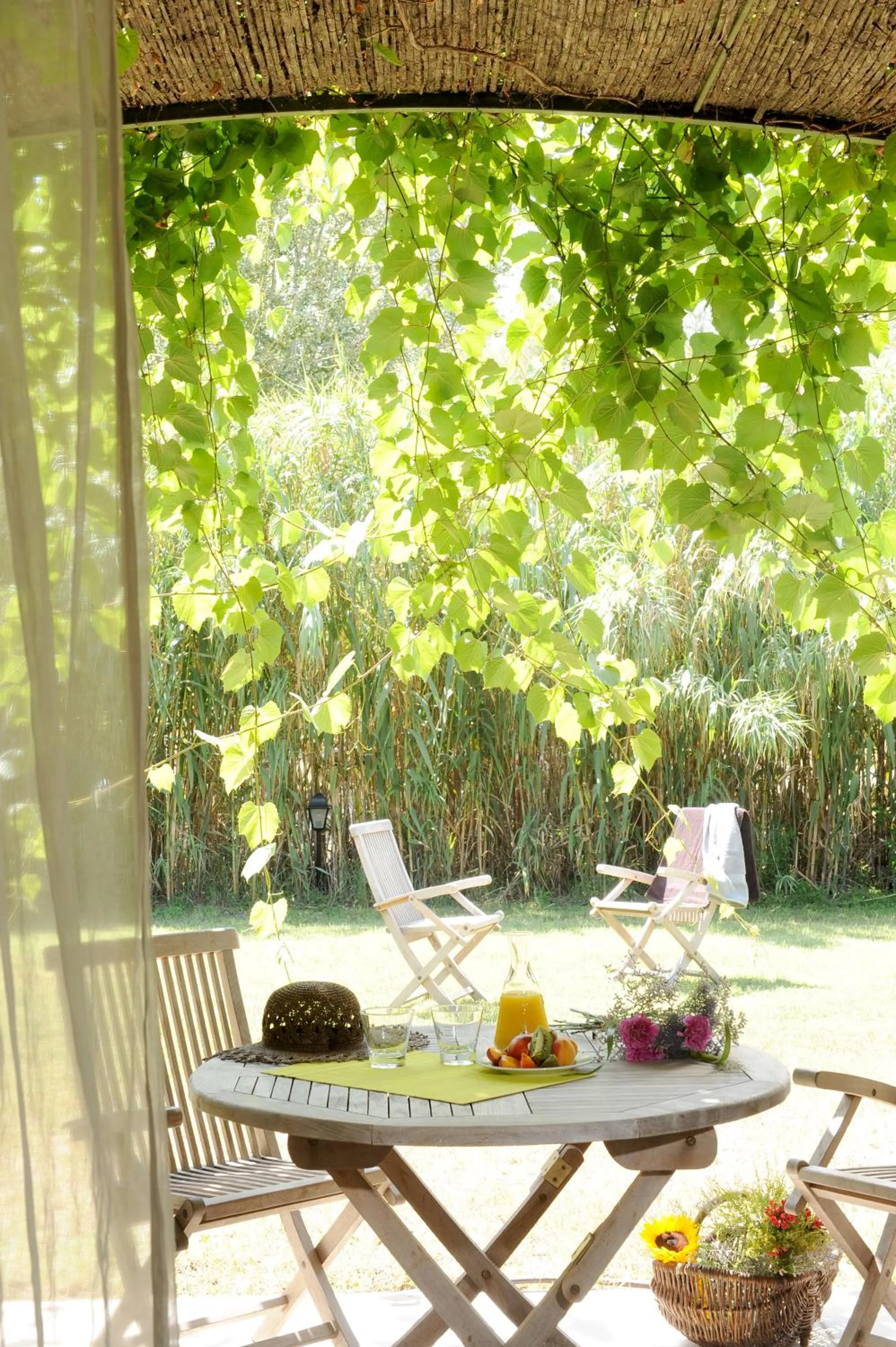 Balcony/Terrace in Le Mas Des Sables