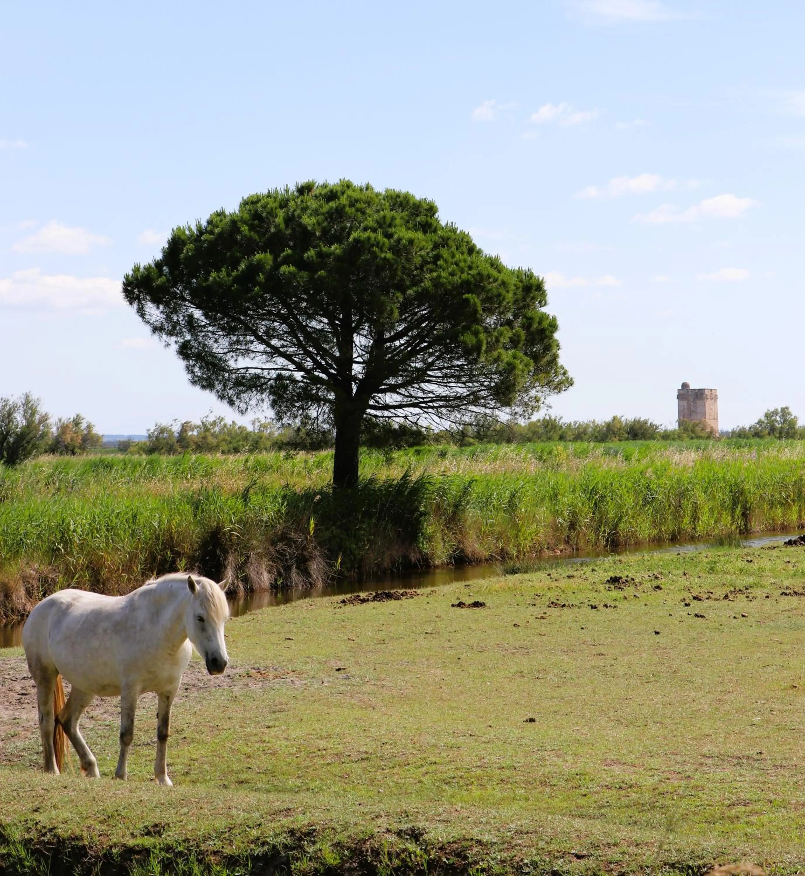 View (from property/room) in Le Mas Des Sables