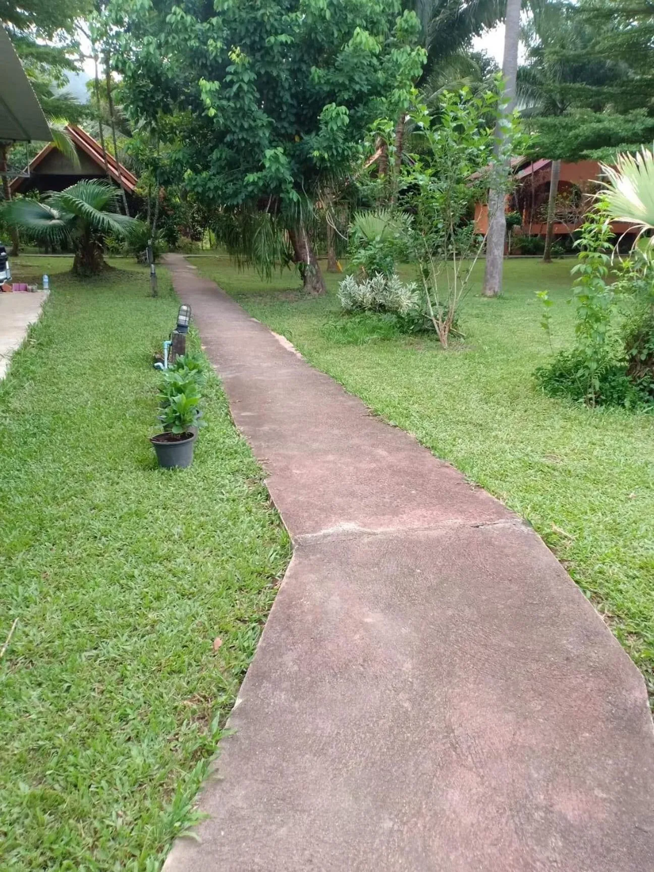 Quiet street view in Khao Sok Nung House
